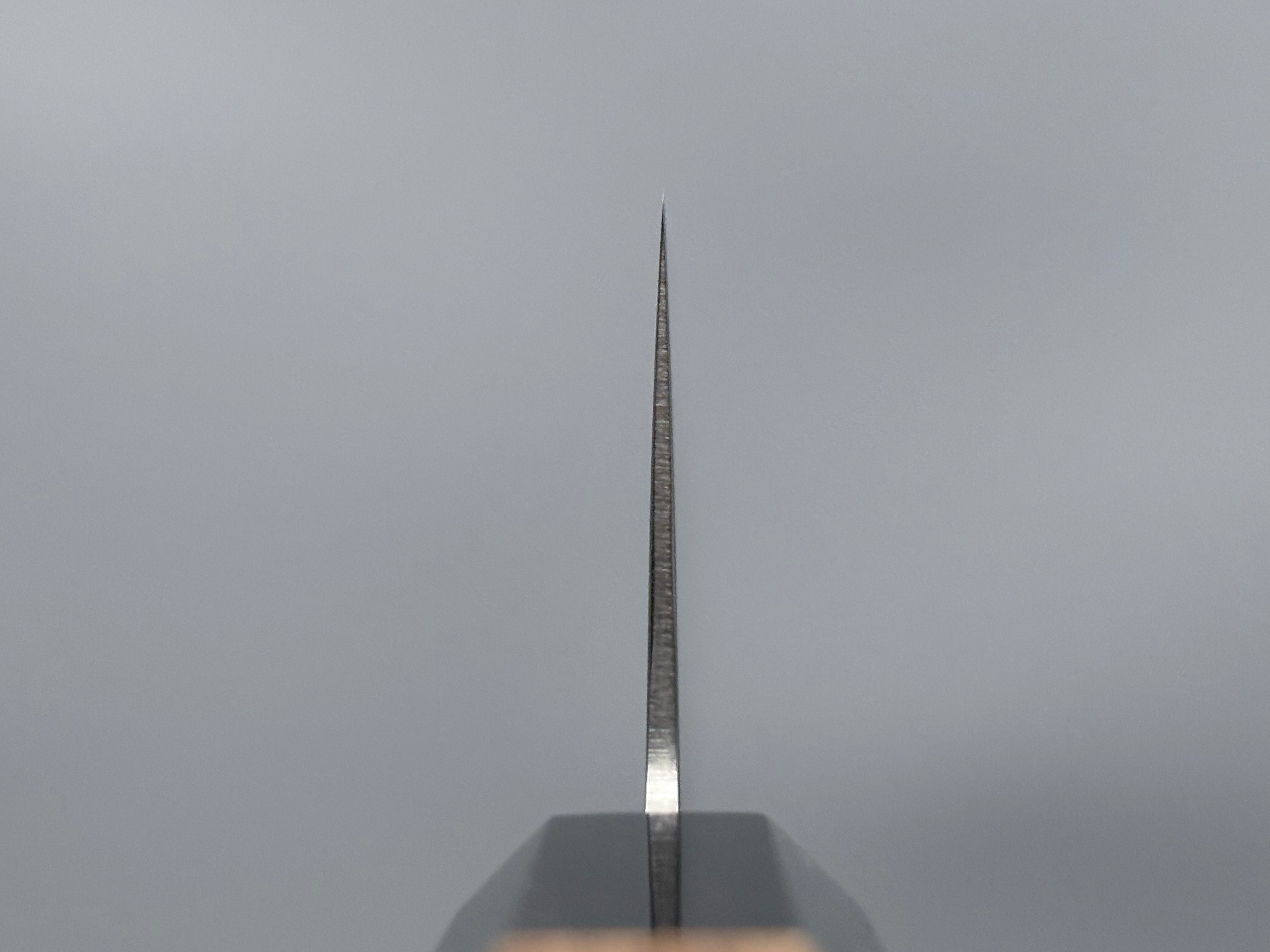 Hatsukokoro Kaijin Blue #2 Gyuto 210mm