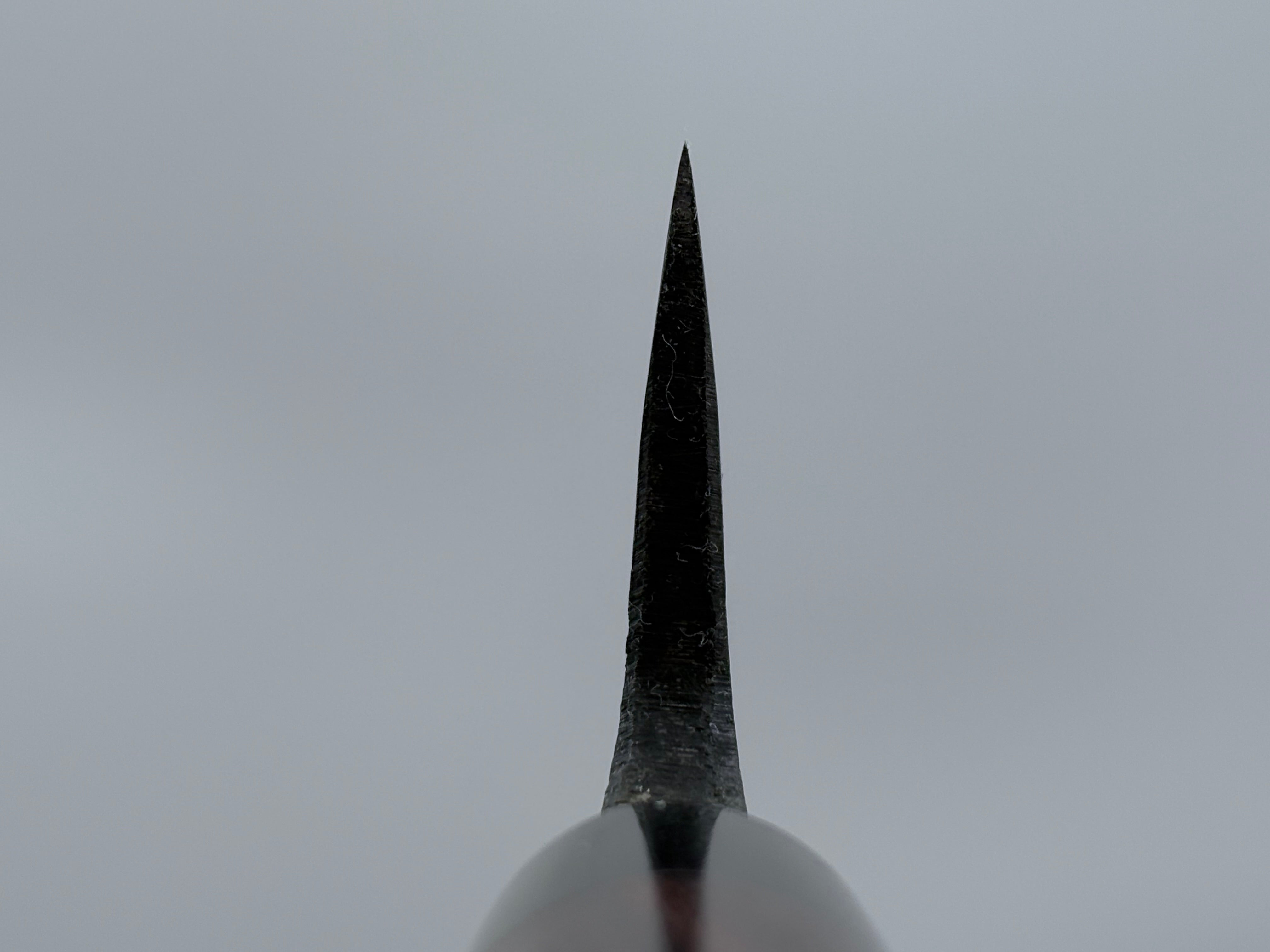 Tsunehisa Aogami Kurouchi Deba 180mm