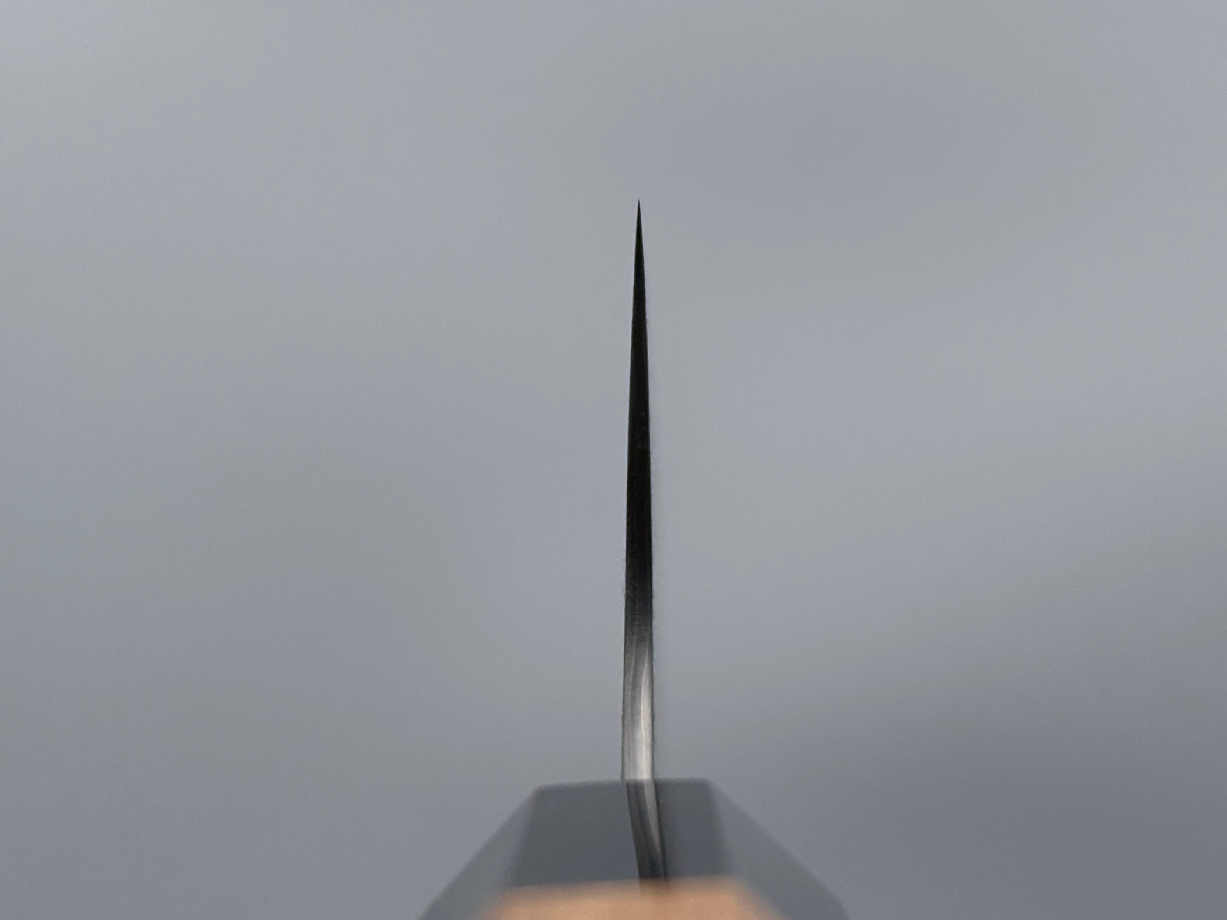 Nigara Hamono SG2 Damascus Gyuto 240mm