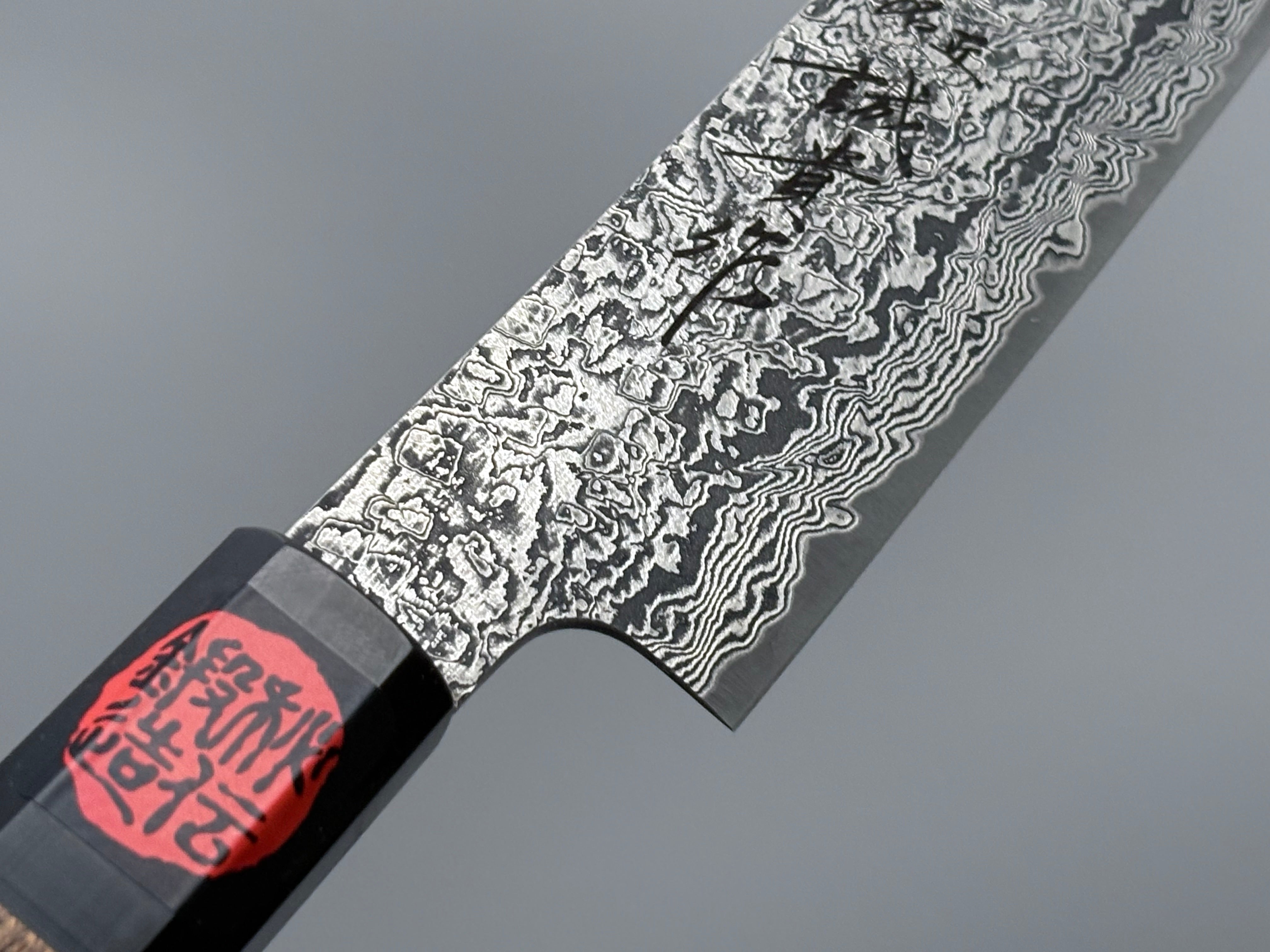 Shigeki Tanaka SG2 Damascus Sujihiki 210mm