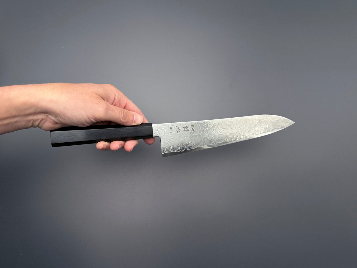Hatsukokoro Ryuhyo SG2 Mirror Damascus Gyuto 210mm