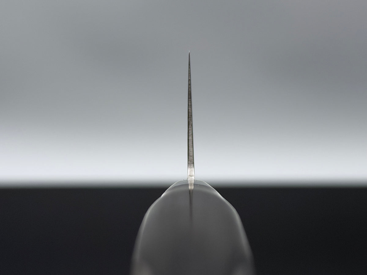 Sakai Takayuki Mirror 45 layer Gyuto 210mm