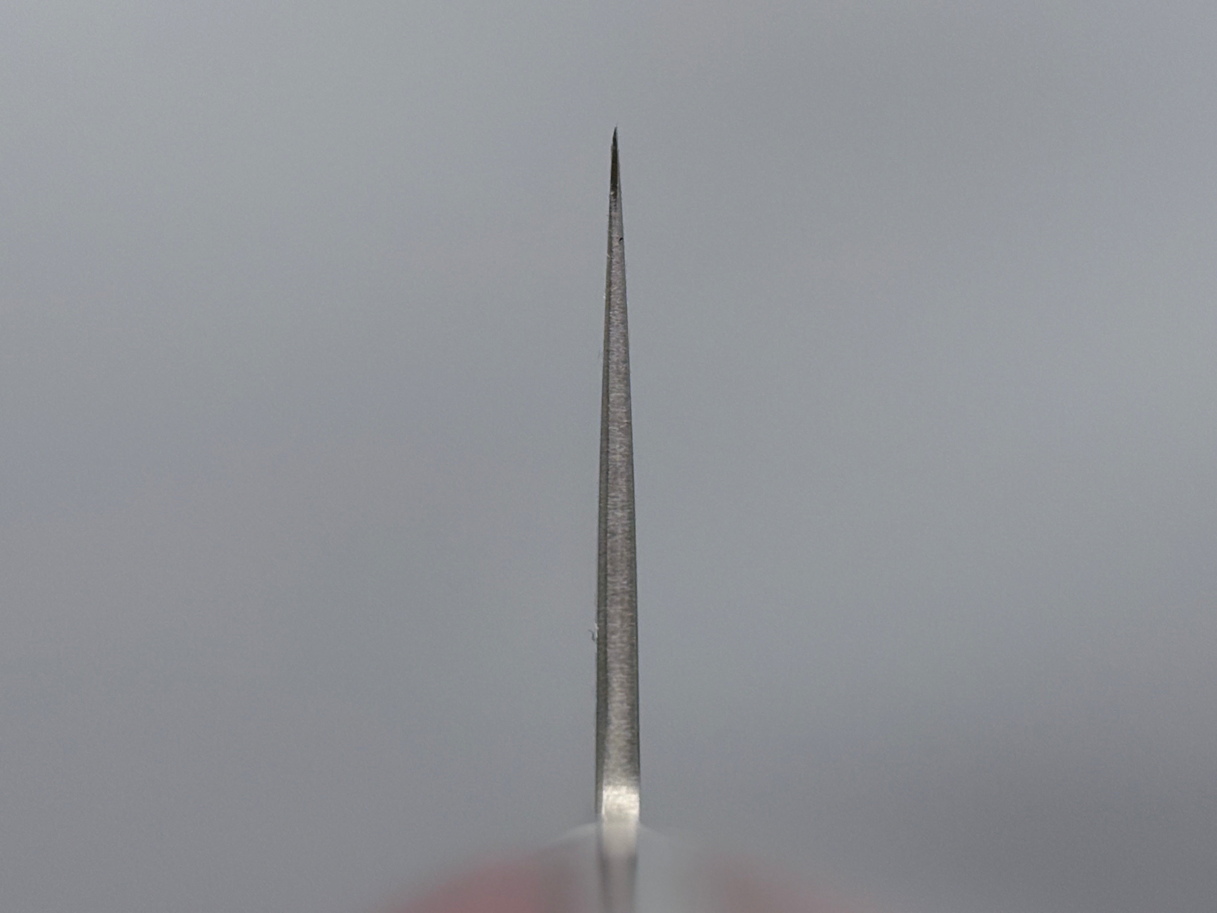 Tsunehisa AUS10 Damascus Kiritsuke Gyuto 210mm