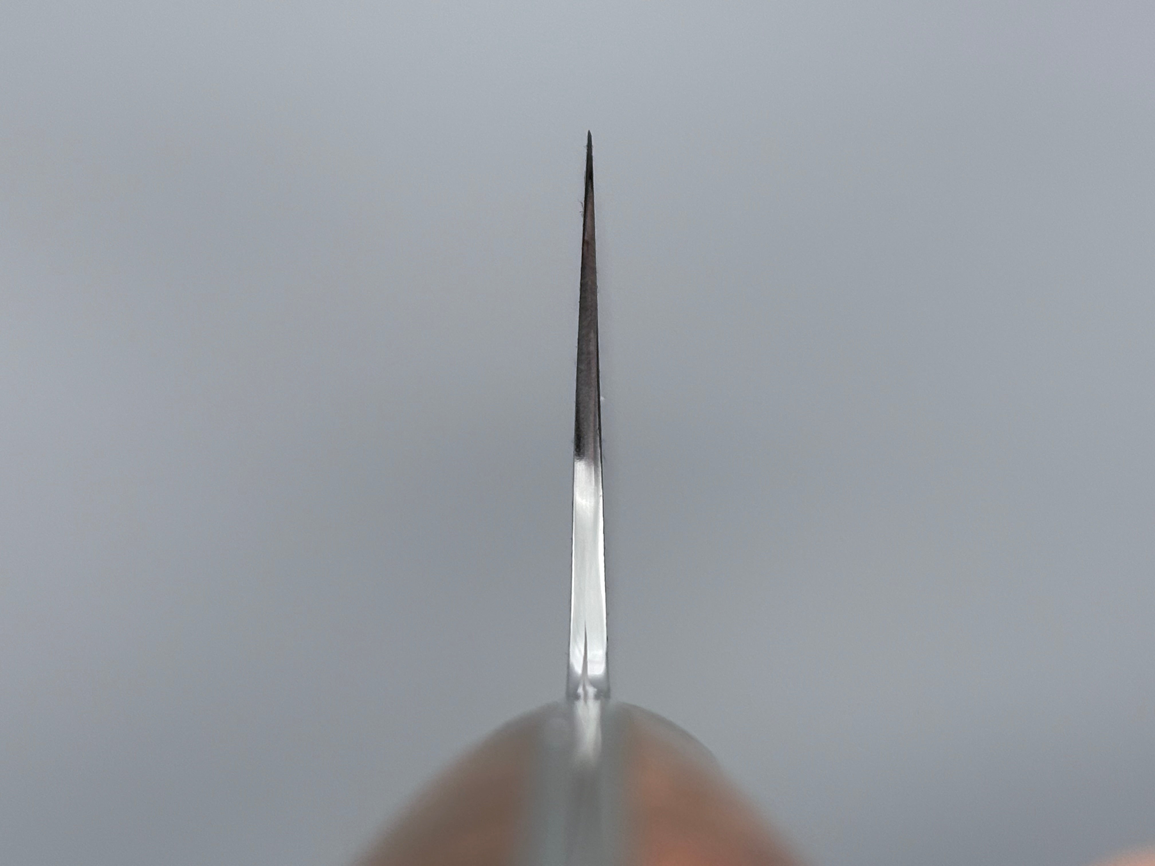 Nigara Hamono SG2 Damascus Gyuto 240mm
