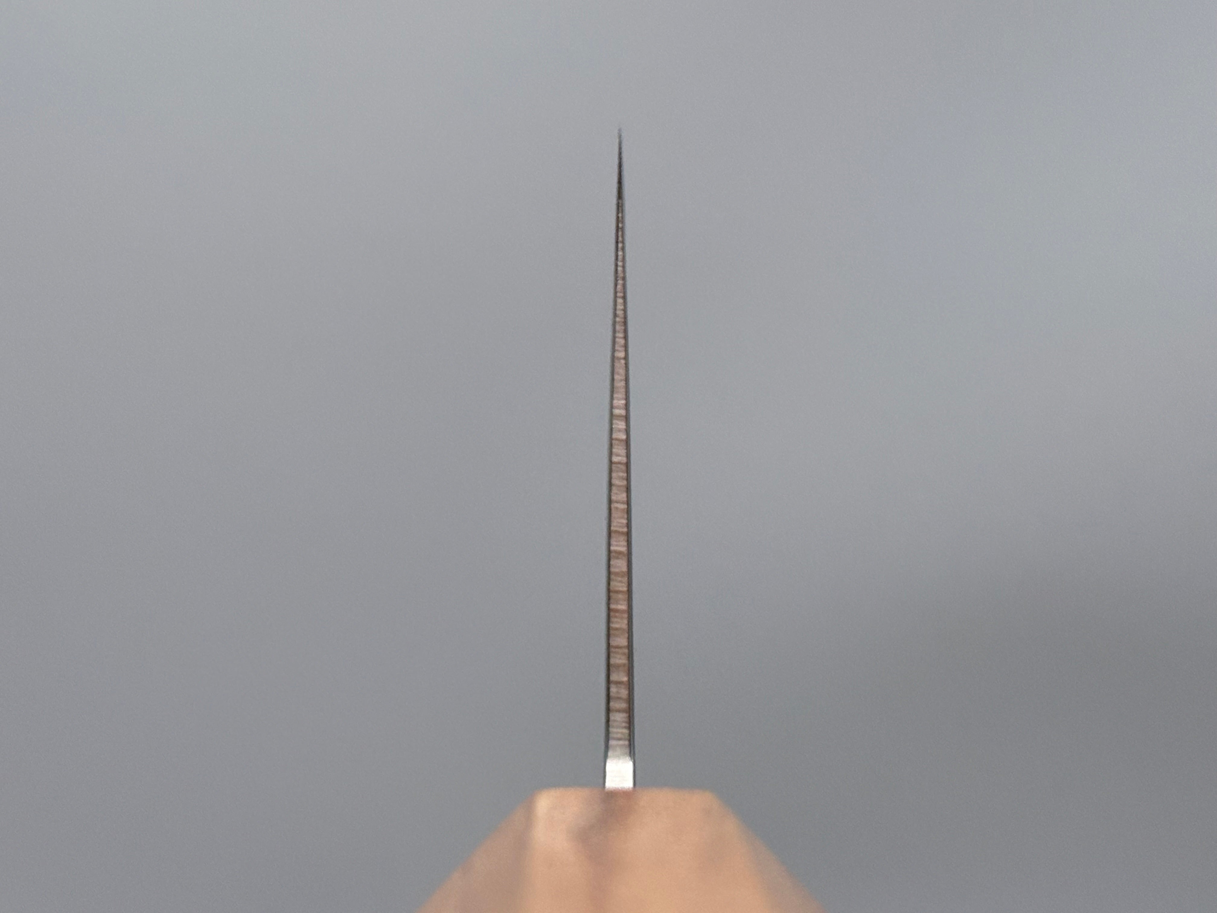 Hatsukokoro Ryuhyo SG2 Mirror Damascus Gyuto 240mm