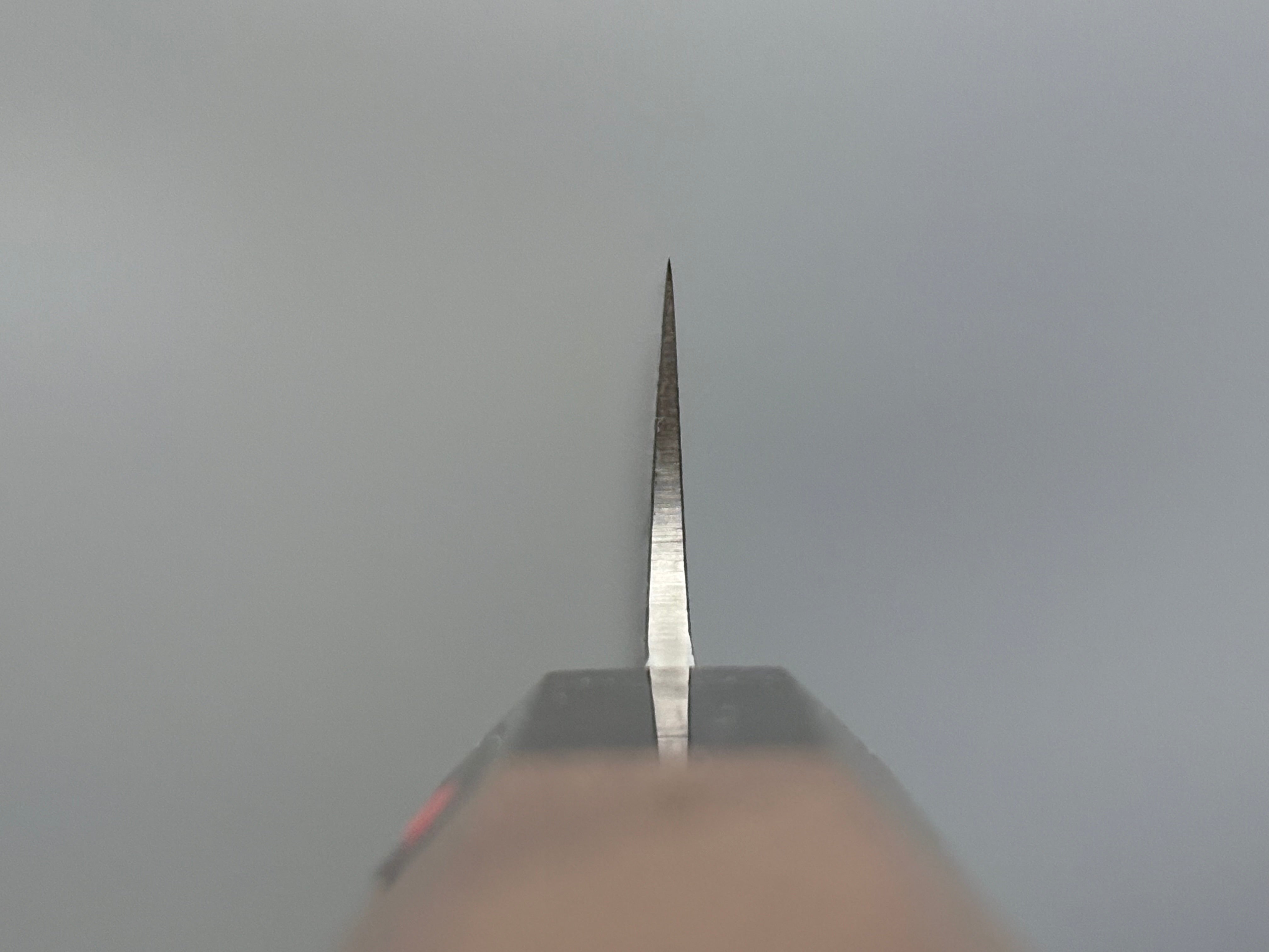 Shigeki Tanaka SG2 Damascus Sujihiki 210mm