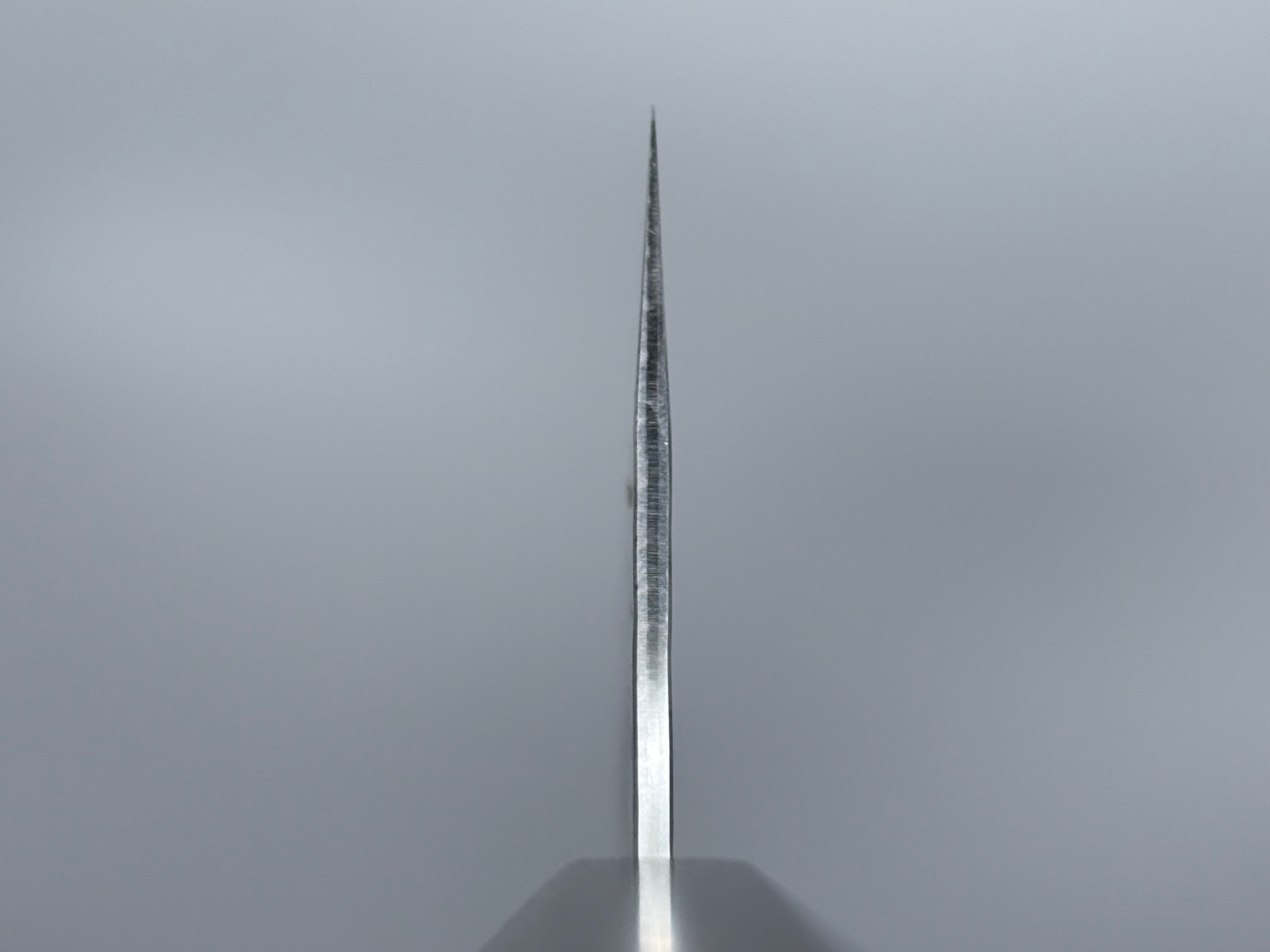 Yu Kurosaki Kokusen Gyuto 270mm