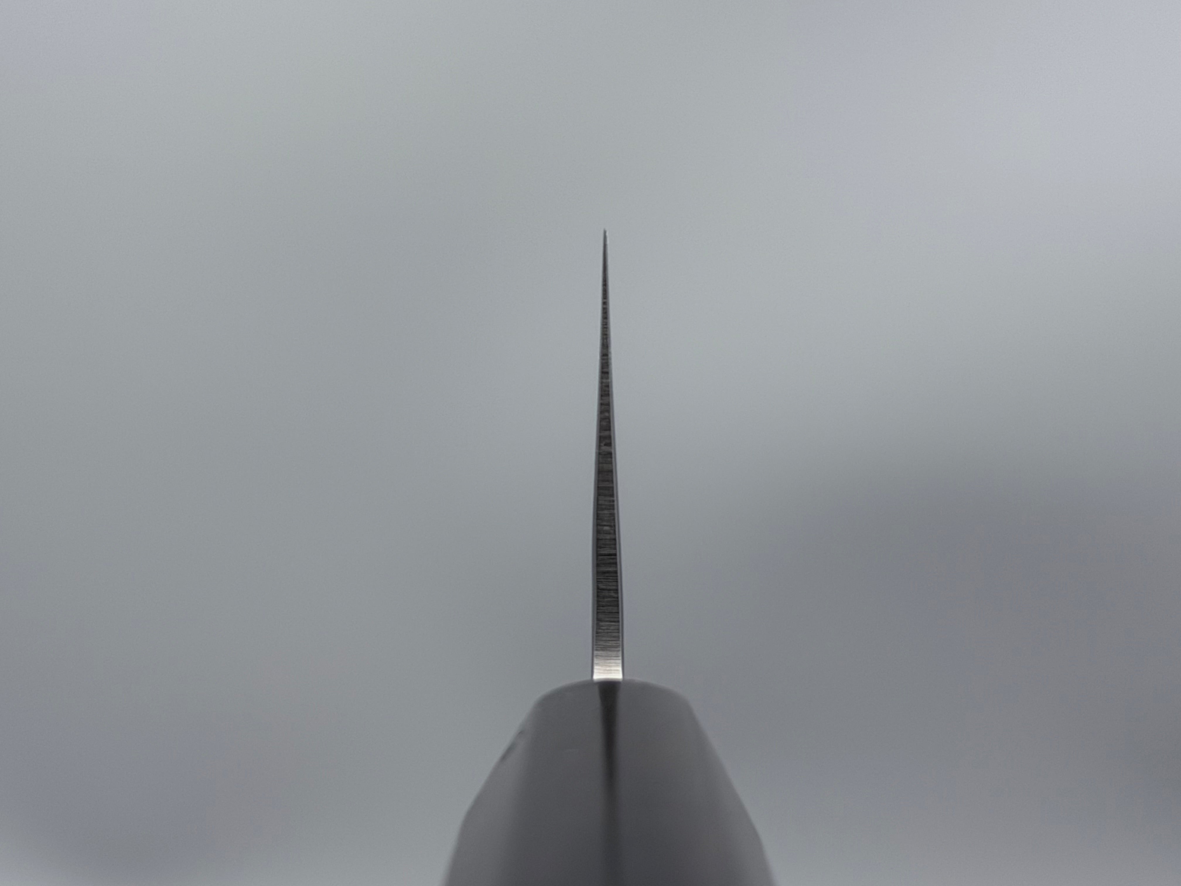 Sakai Takayuki VG10 Nashiji Santoku