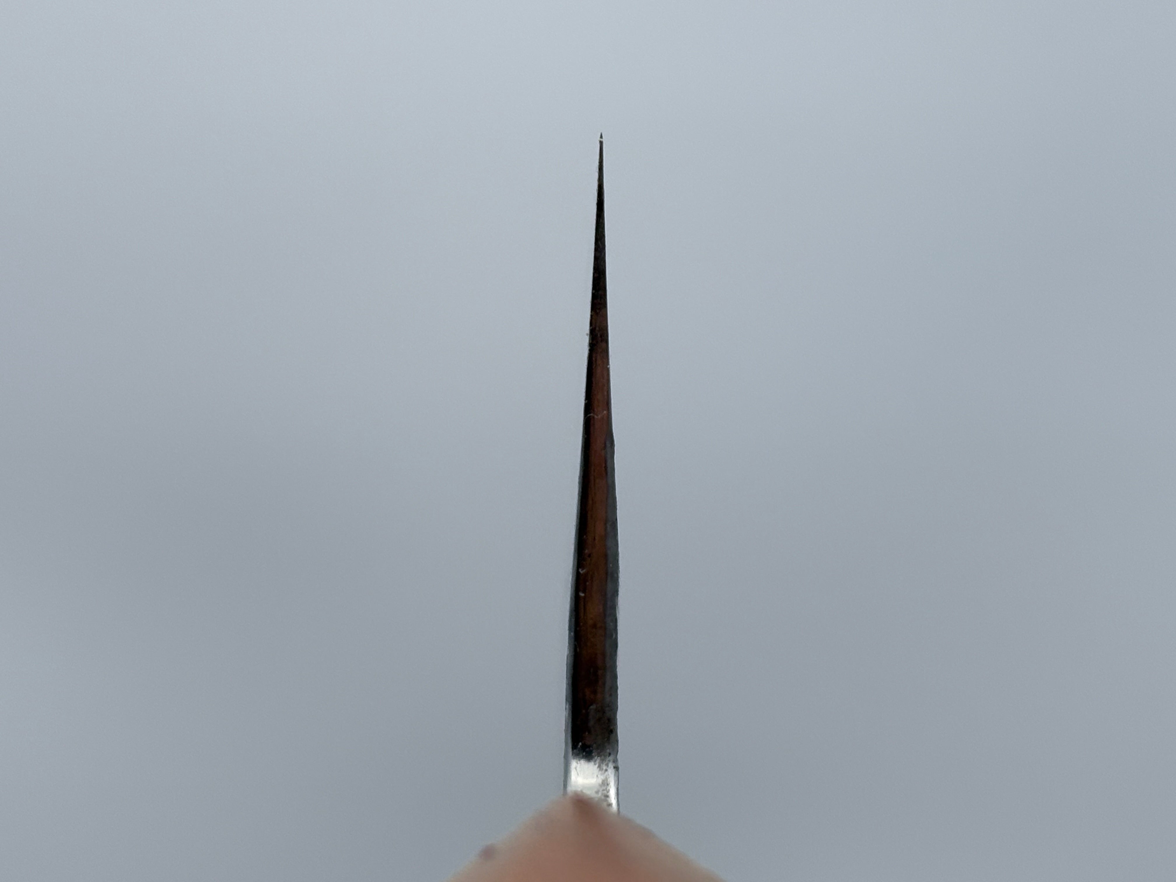 Isamitsu Shirogami #1 Kiritsuke Gyuto 210mm