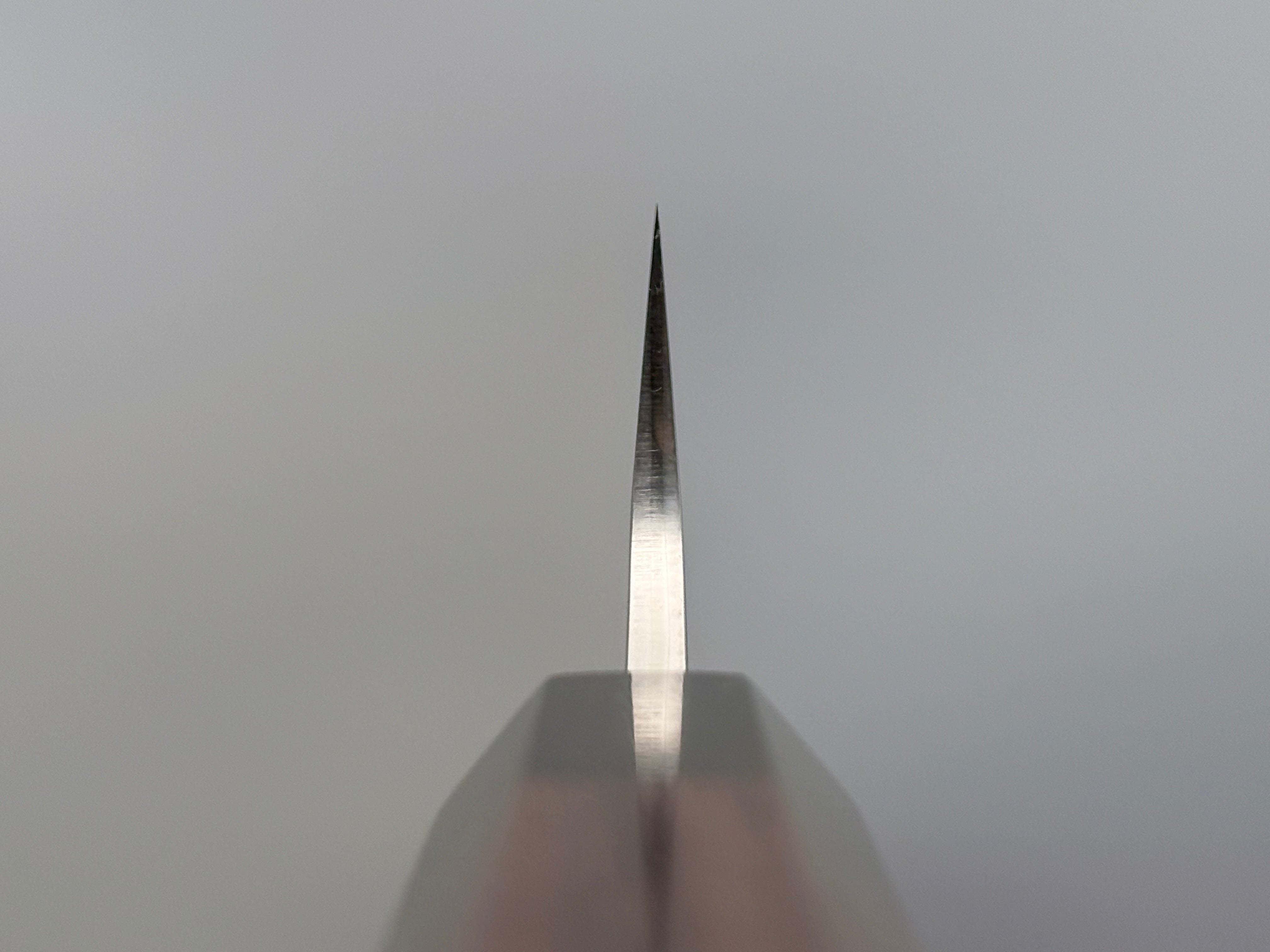 Yu Kurosaki Fujin SG2 Sujihiki 270mm