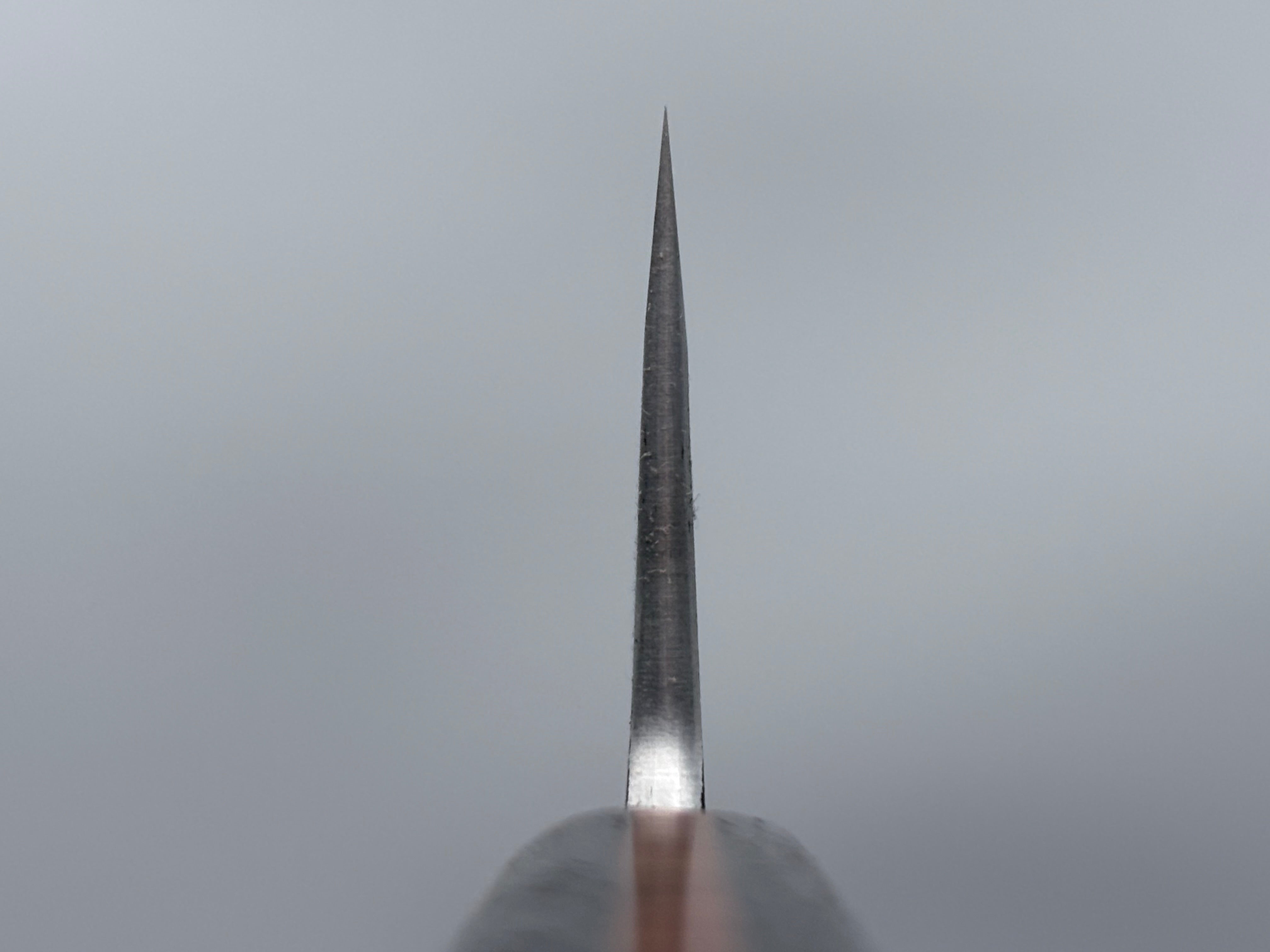 Simon Maillet - Shirogami #1 Gyuto 220mm