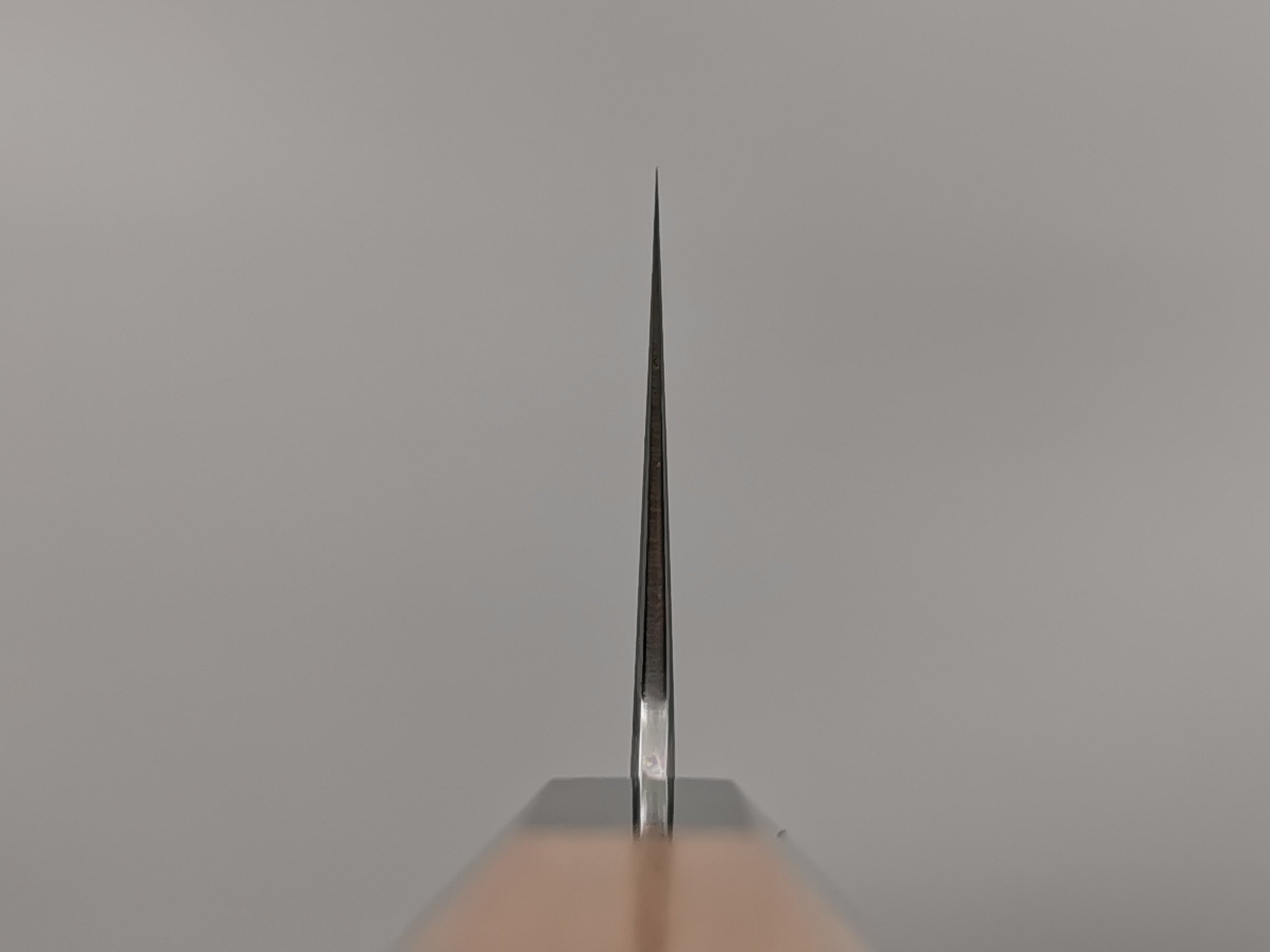 Myojin Naohito SG2 Gyuto 240mm