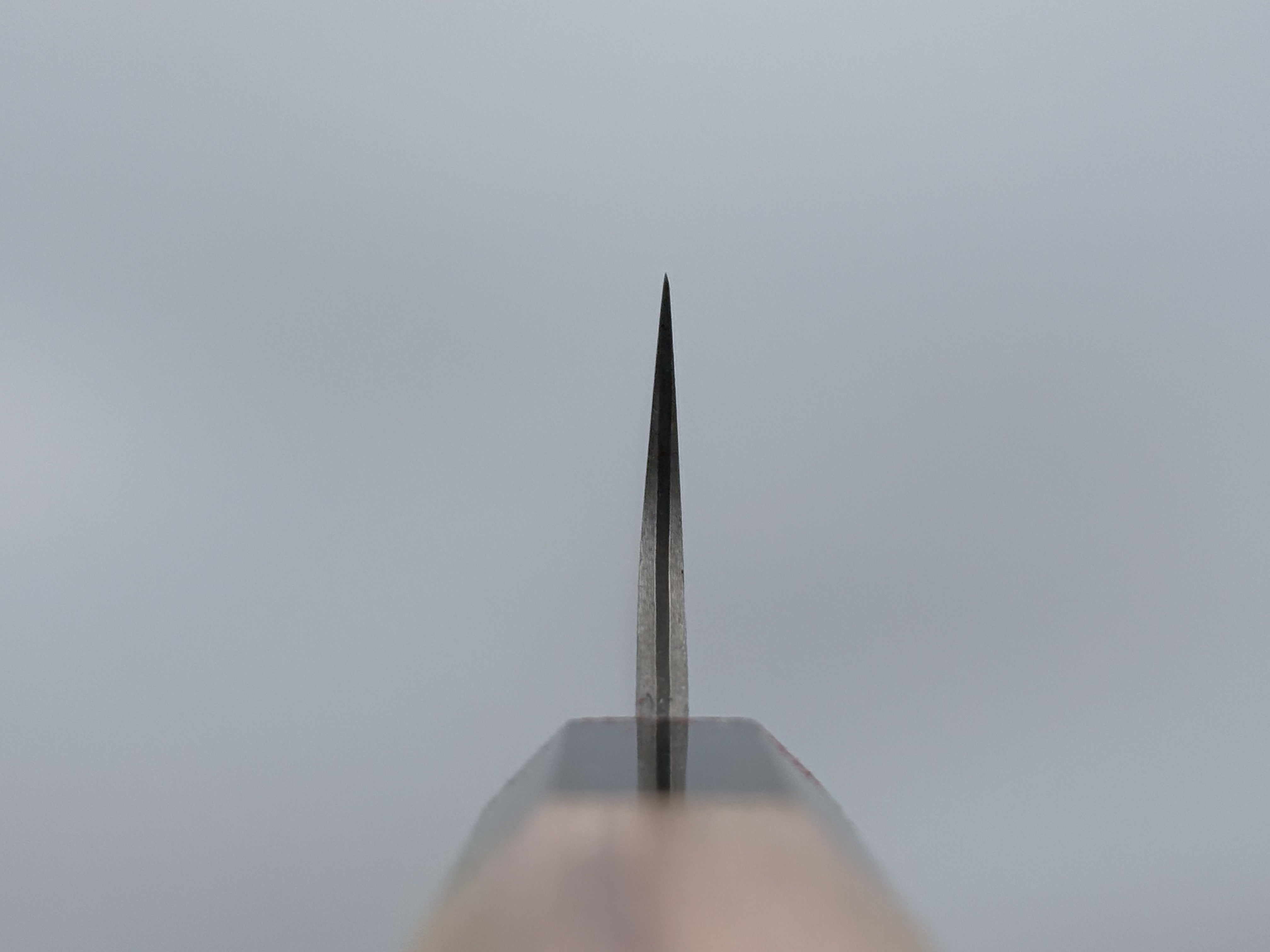 Takeshi Saji R2 Damascus Sujihiki 240mm