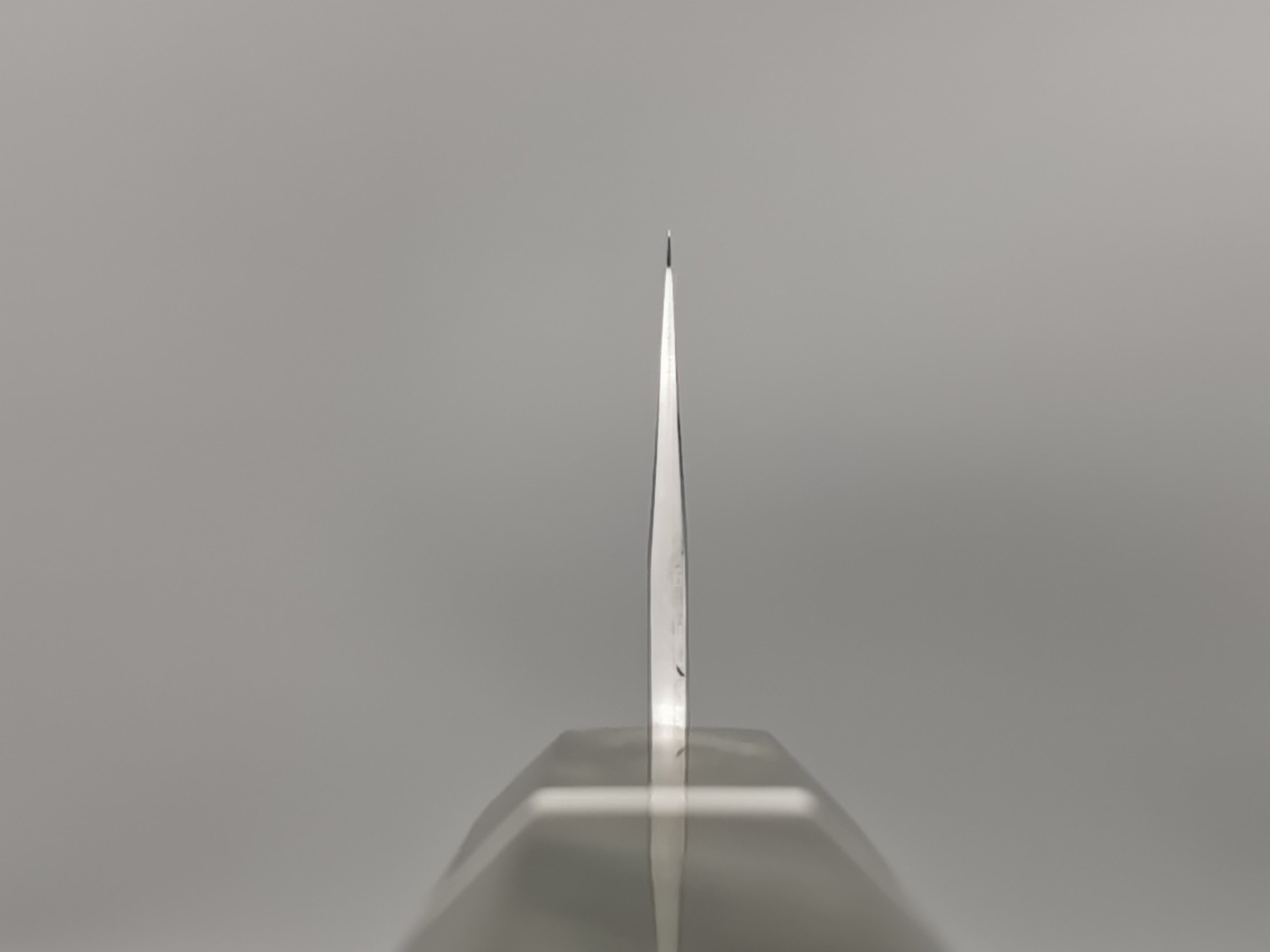 Yu Kurosaki Gekko XEOS Sujihiki 270mm