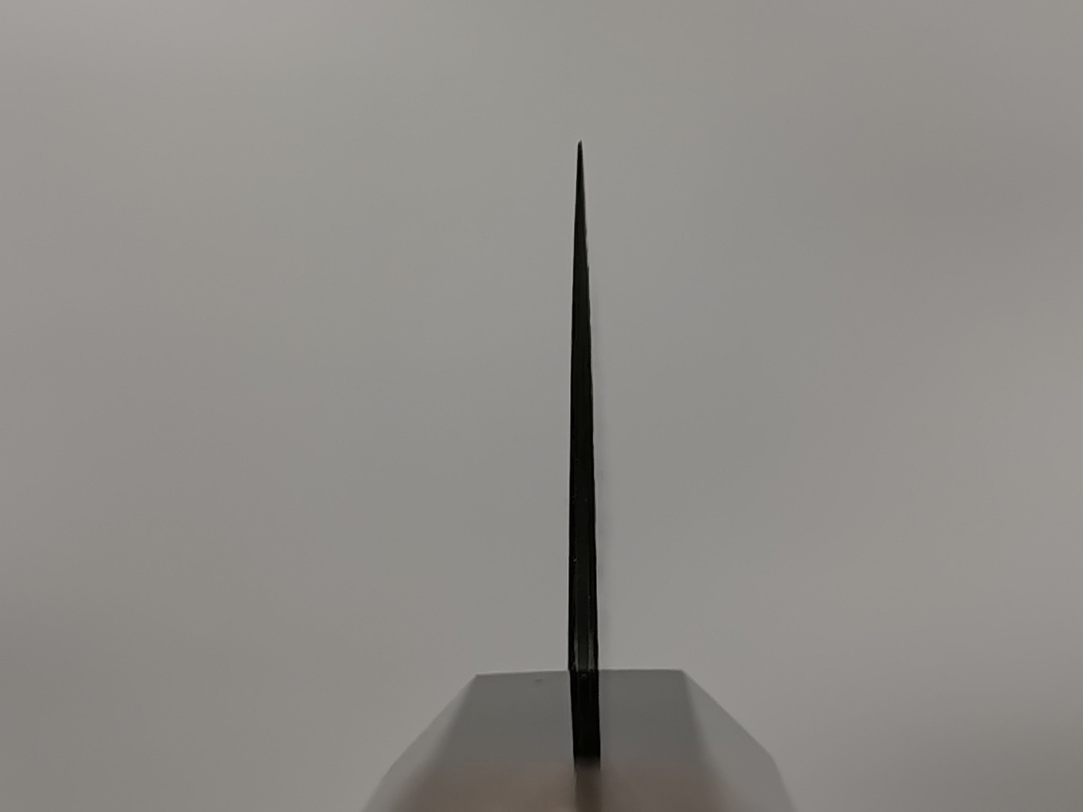 Hatsukokoro Saihyo SG2 Gyuto 210mm