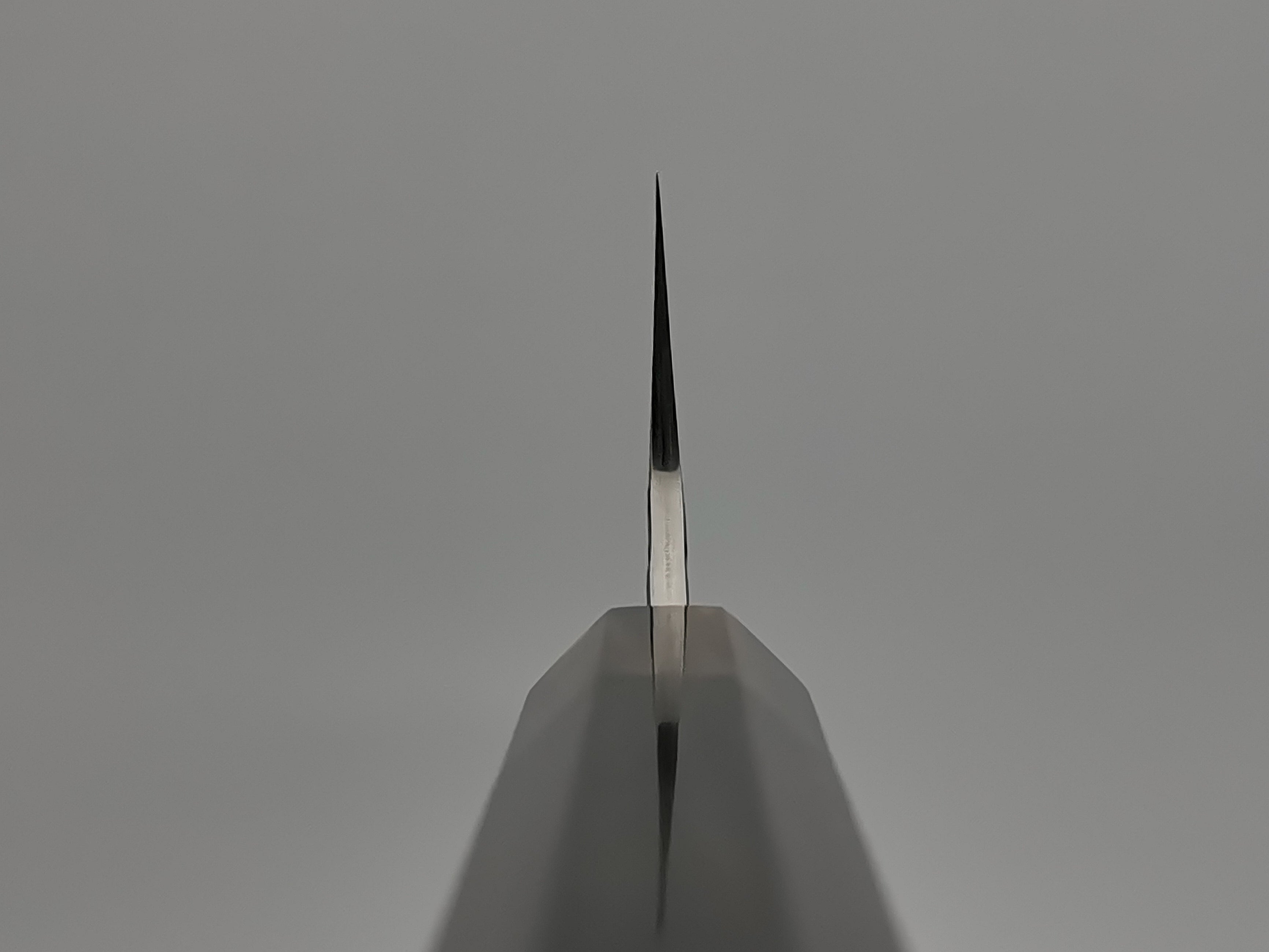 Yu Kurosaki Fūjin SG2 Gyuto 240mm