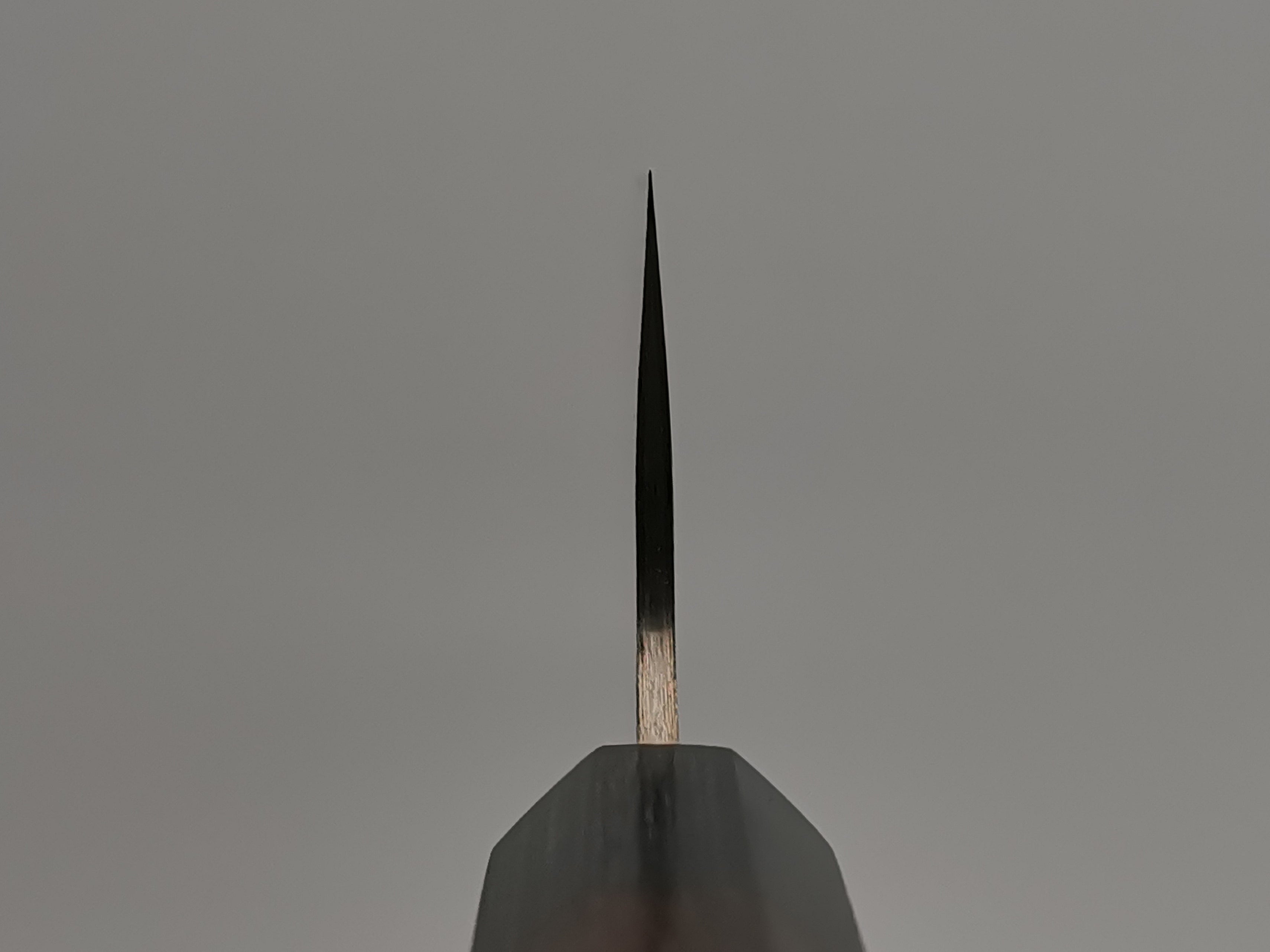 Takeshi Saji Rainbow Damascus Gyuto 210mm