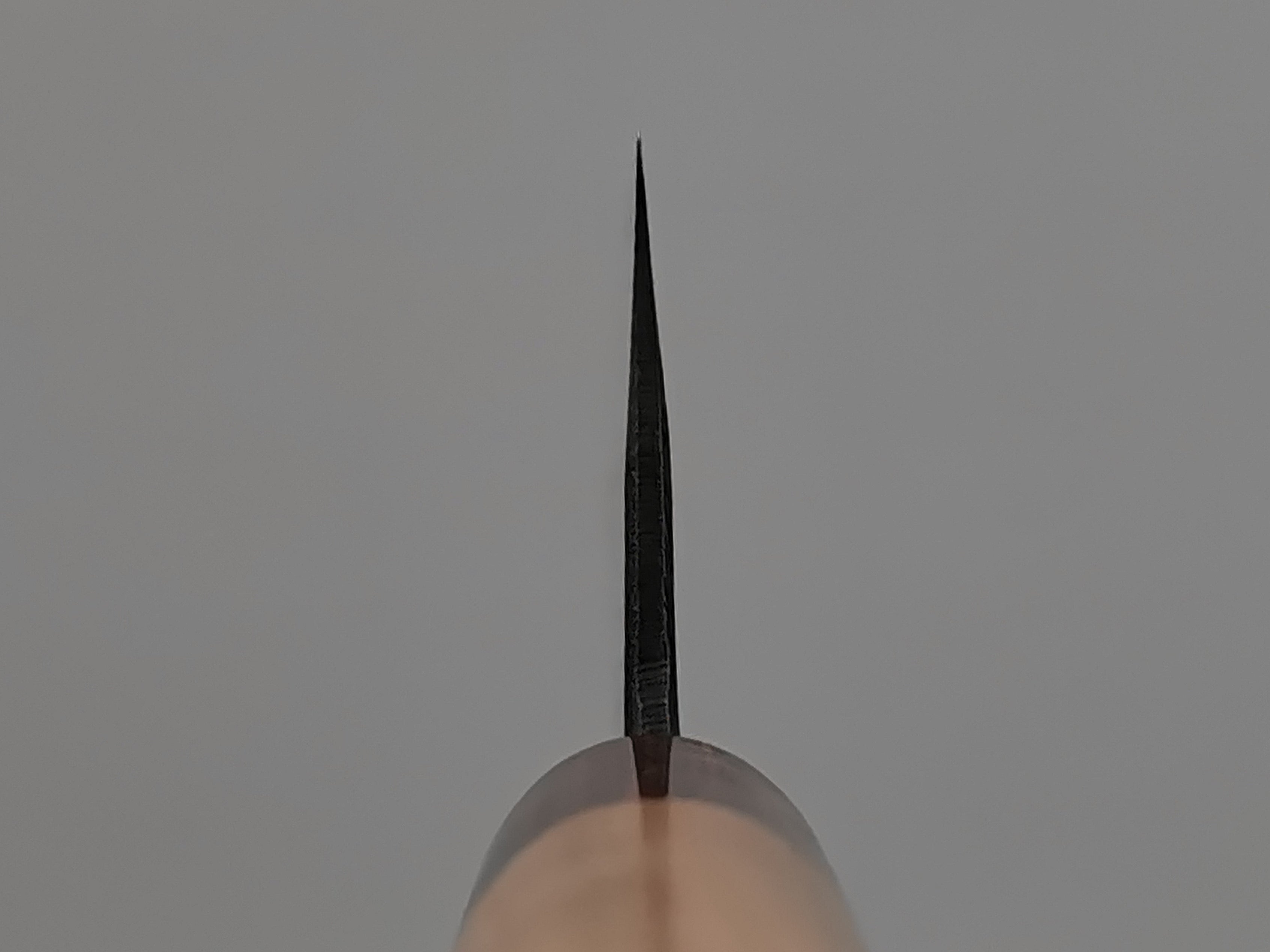Muneishi Aogami Damascus Gyuto 240mm
