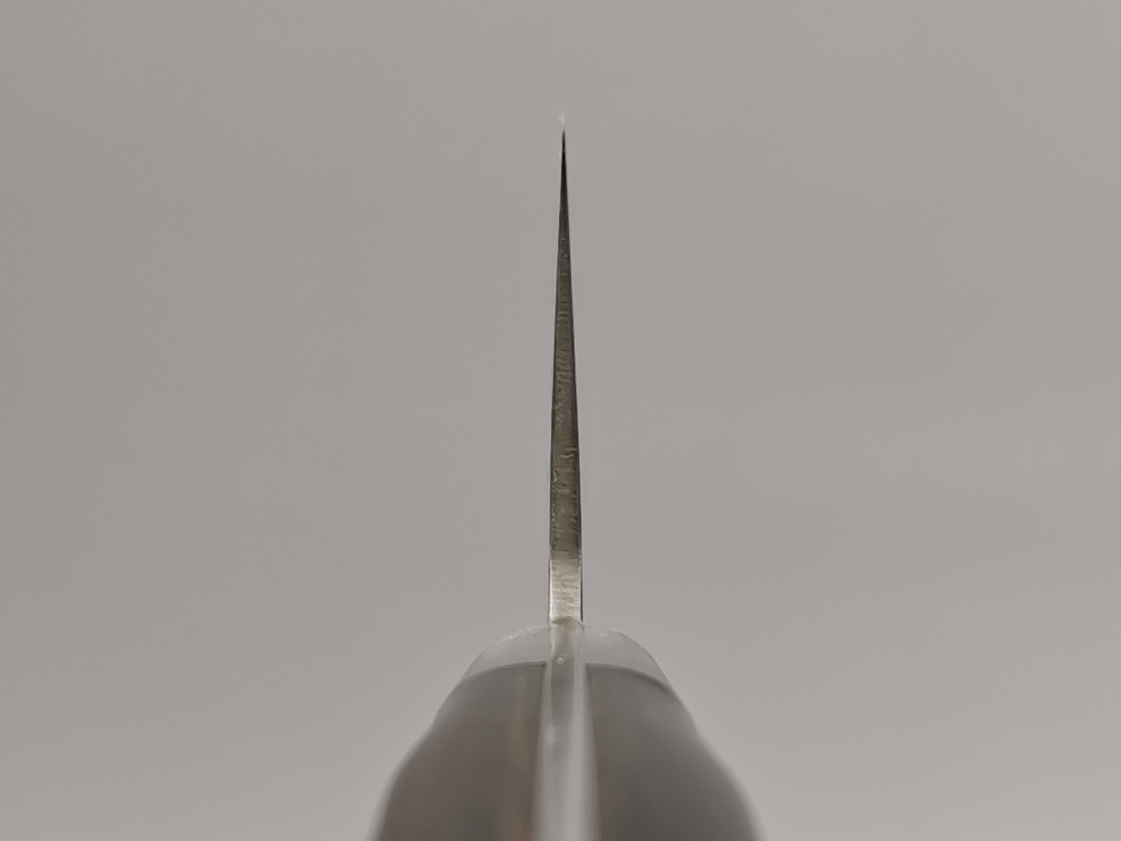 Tsunehisa AUS8 Gyuto 210mm