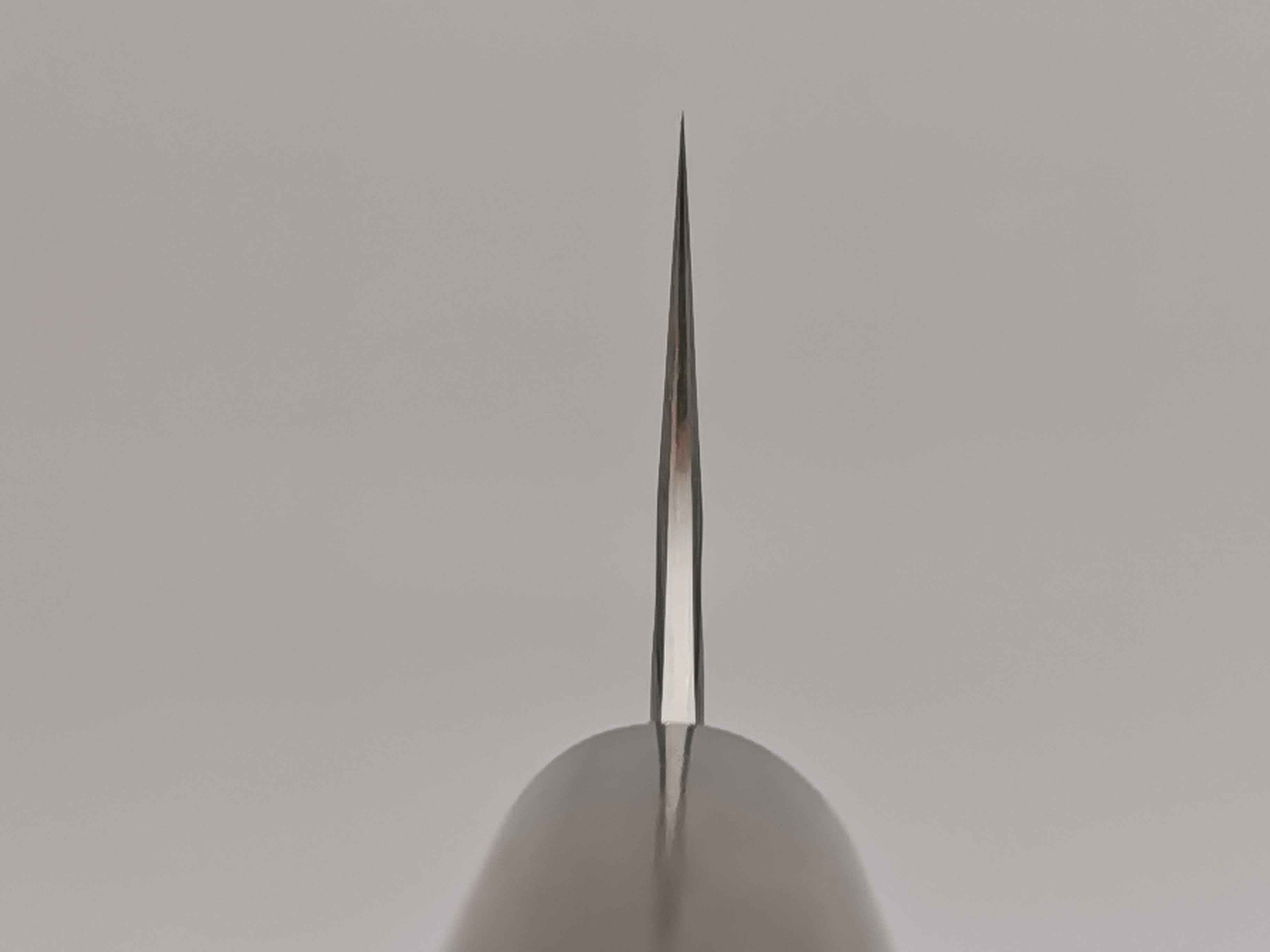 Anryu Knives Aogami Gyuto 210mm