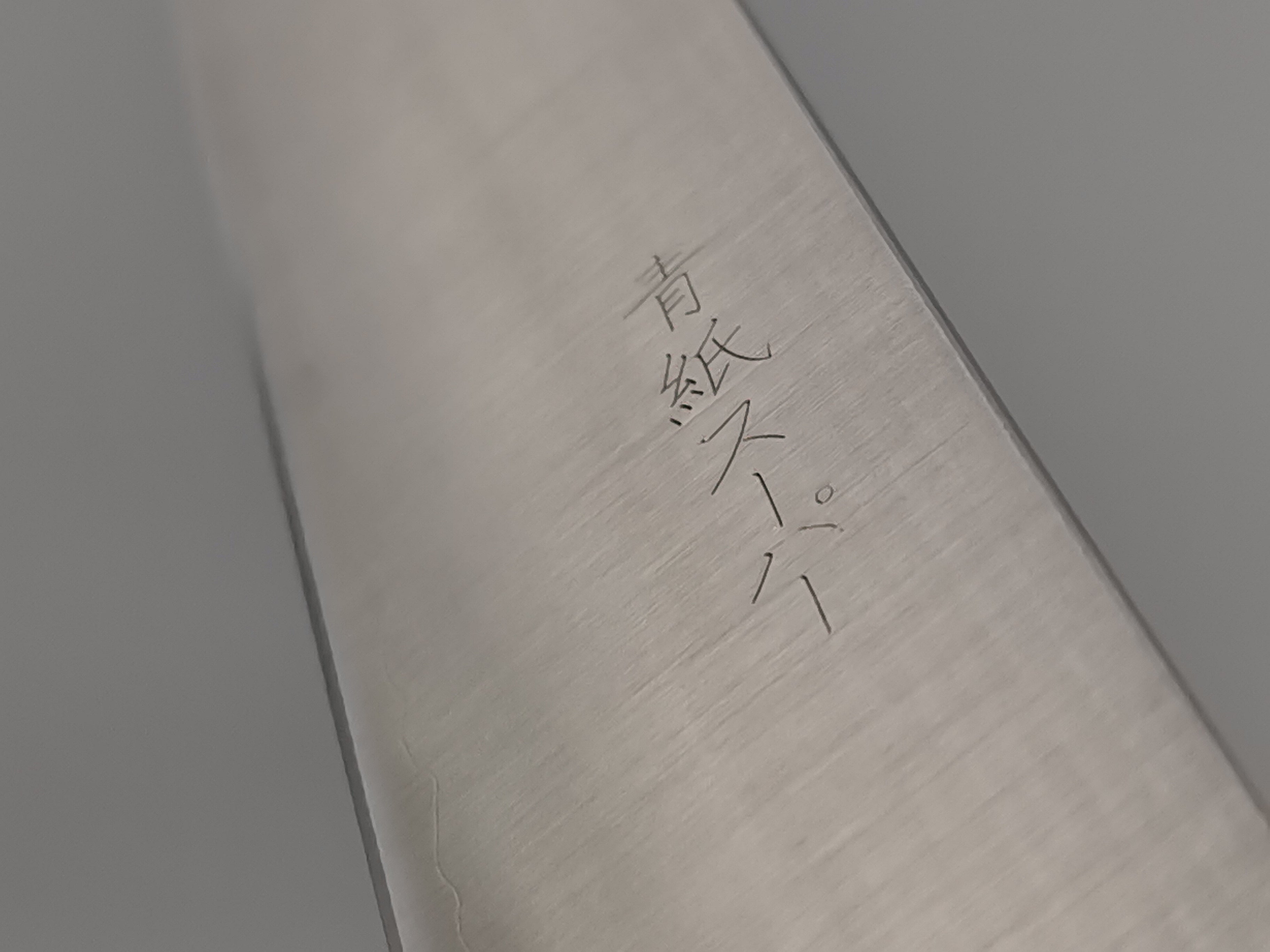 Tsunehisa AS Migaki Sujihiki 240mm
