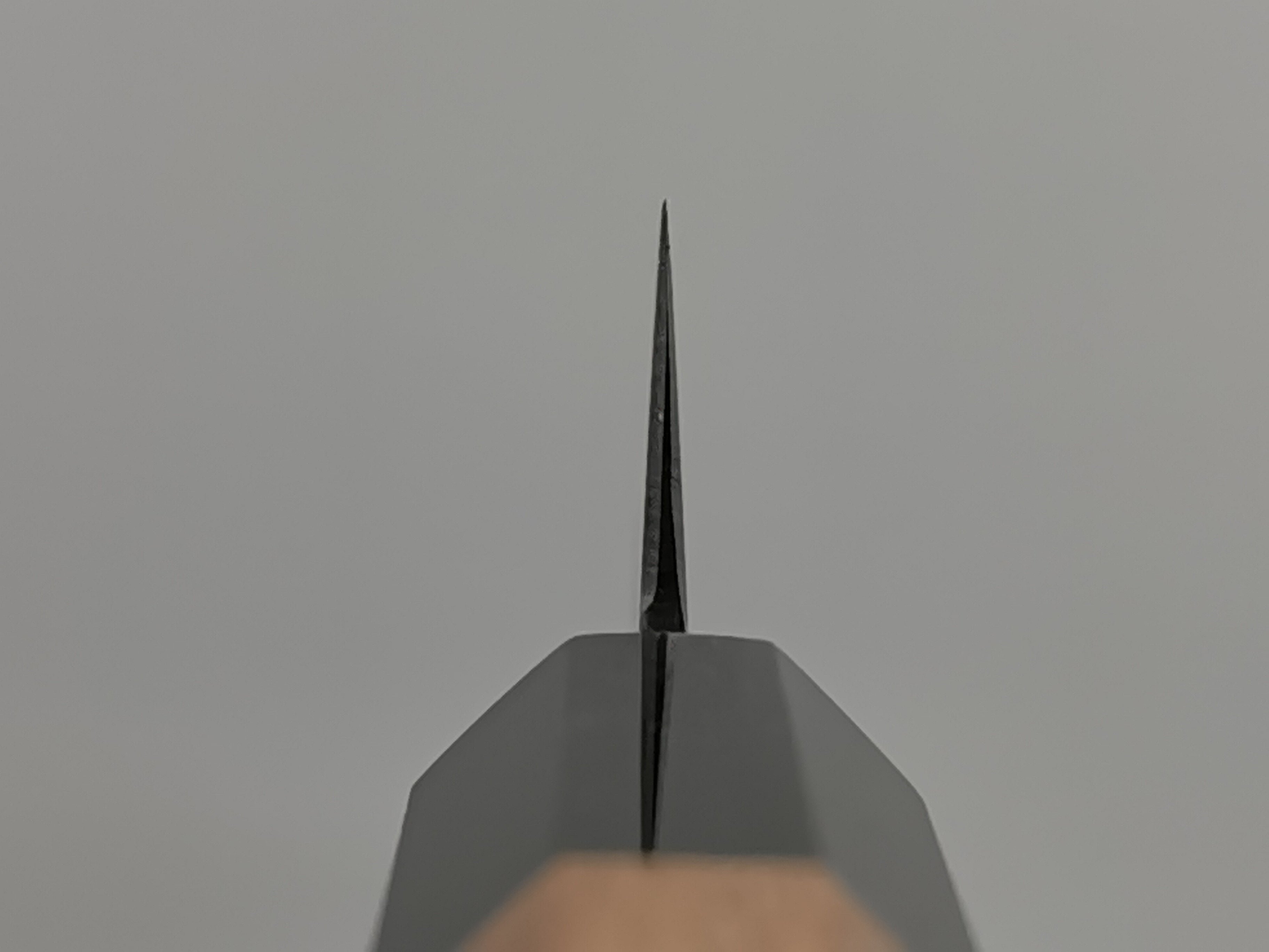 Hatsukokoro Hayabusa SG2 Petty 120mm