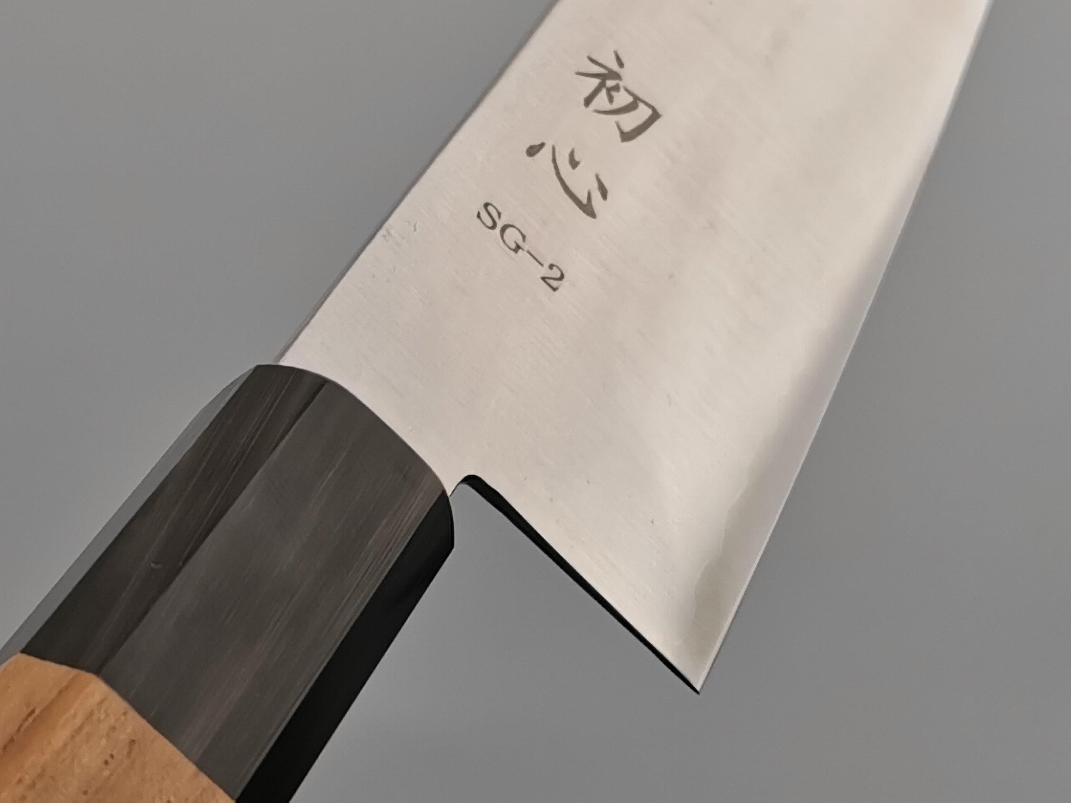 Hatsukokoro Hayabusa SG2 Gyuto 210mm
