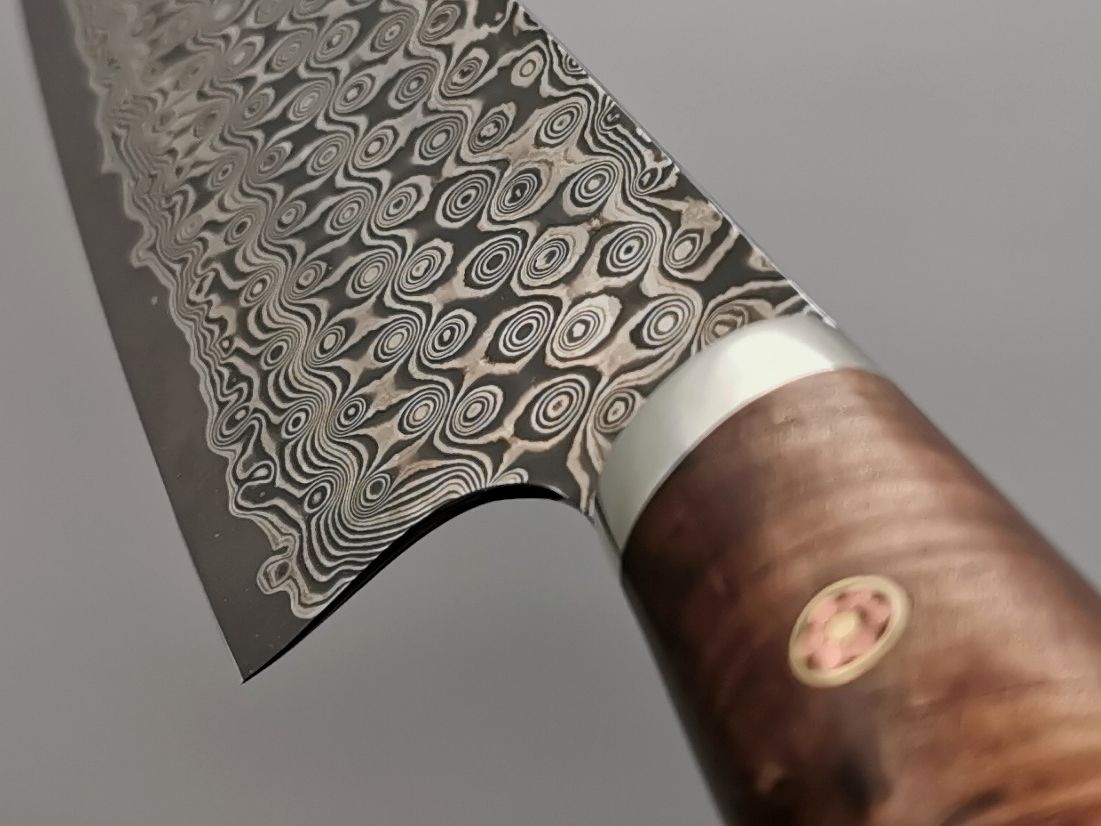 Nigara Hamono SG2 Damascus Kiritsuke Gyuto 210mm with maplewood handle