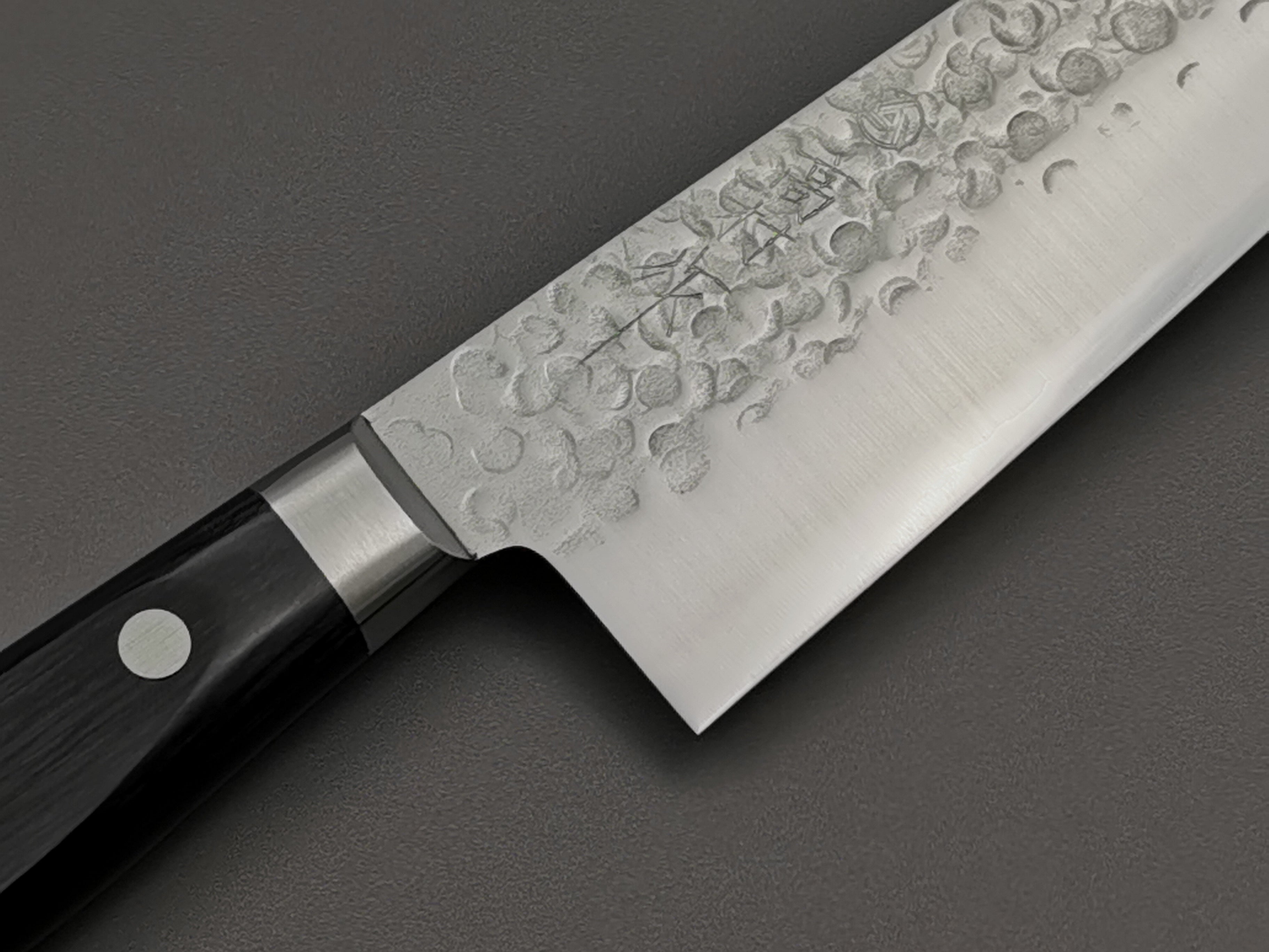 Takamura Hamono VG10 Tsuchime Gyuto 210mm