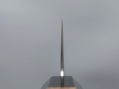 Hatsukokoro Kaijin Blue #2 Gyuto 210mm