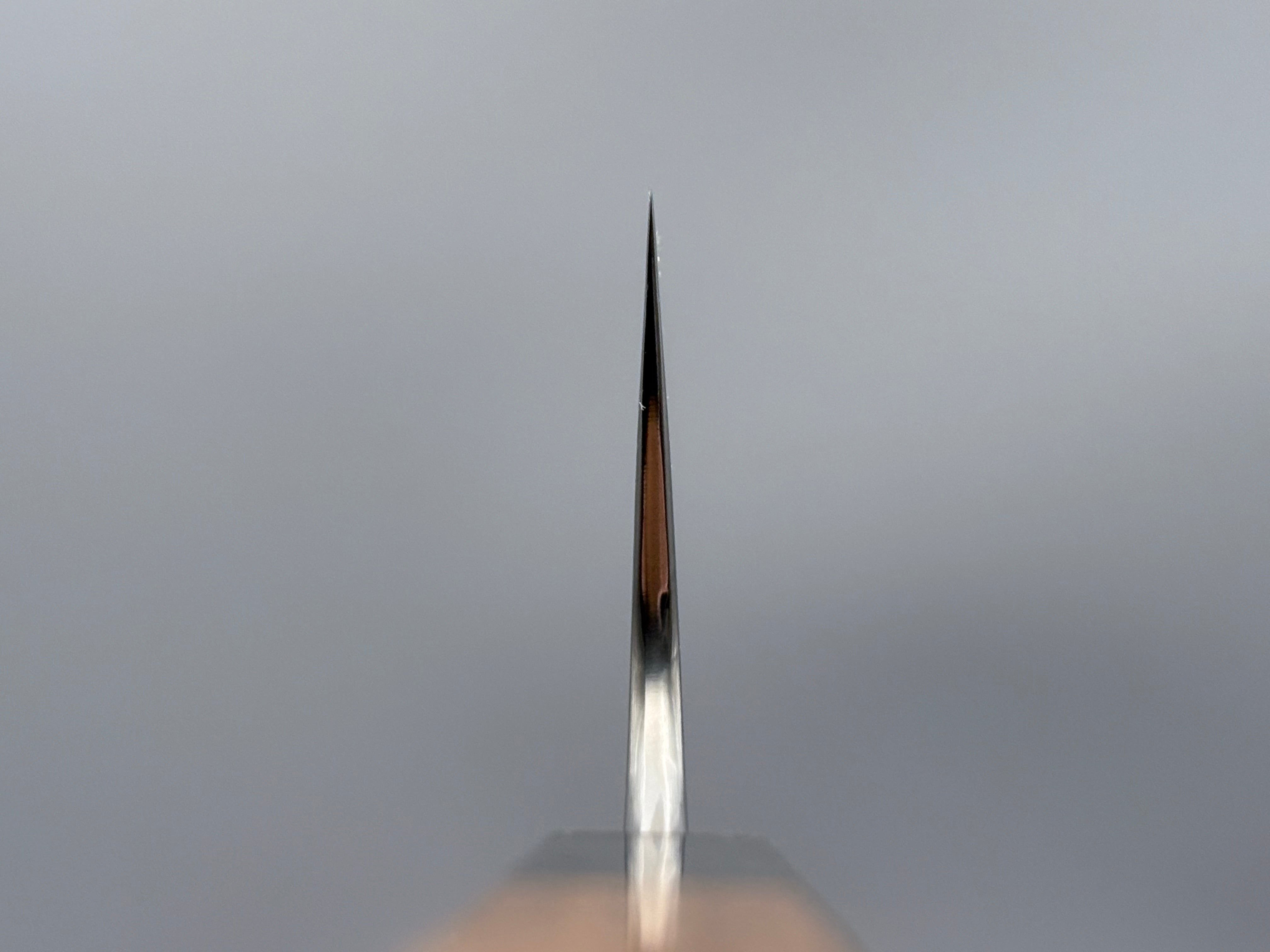 Hatsukokoro Ginga ATS-34 Gyuto 210mm