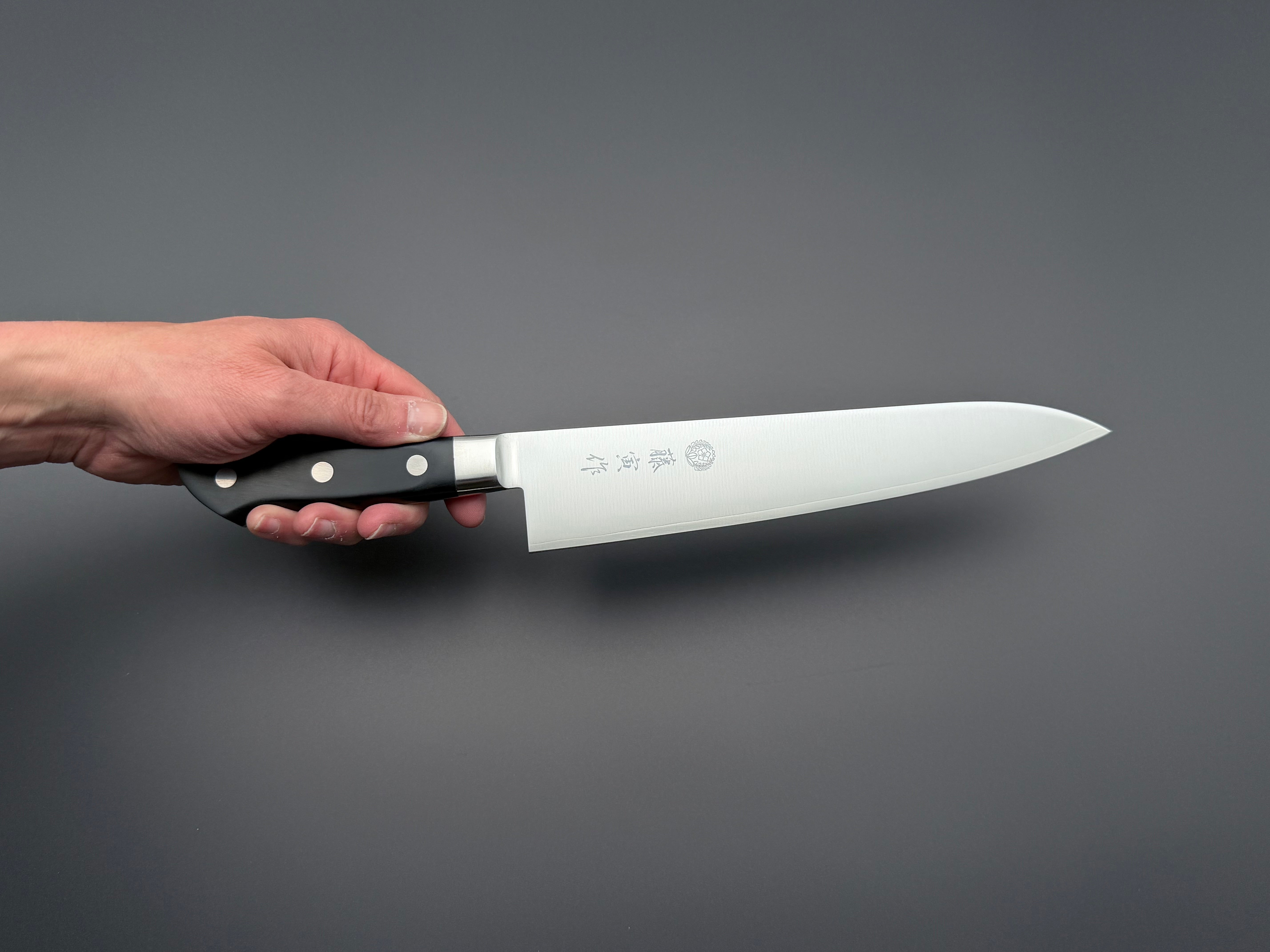 Tojiro DP Gyuto 240mm