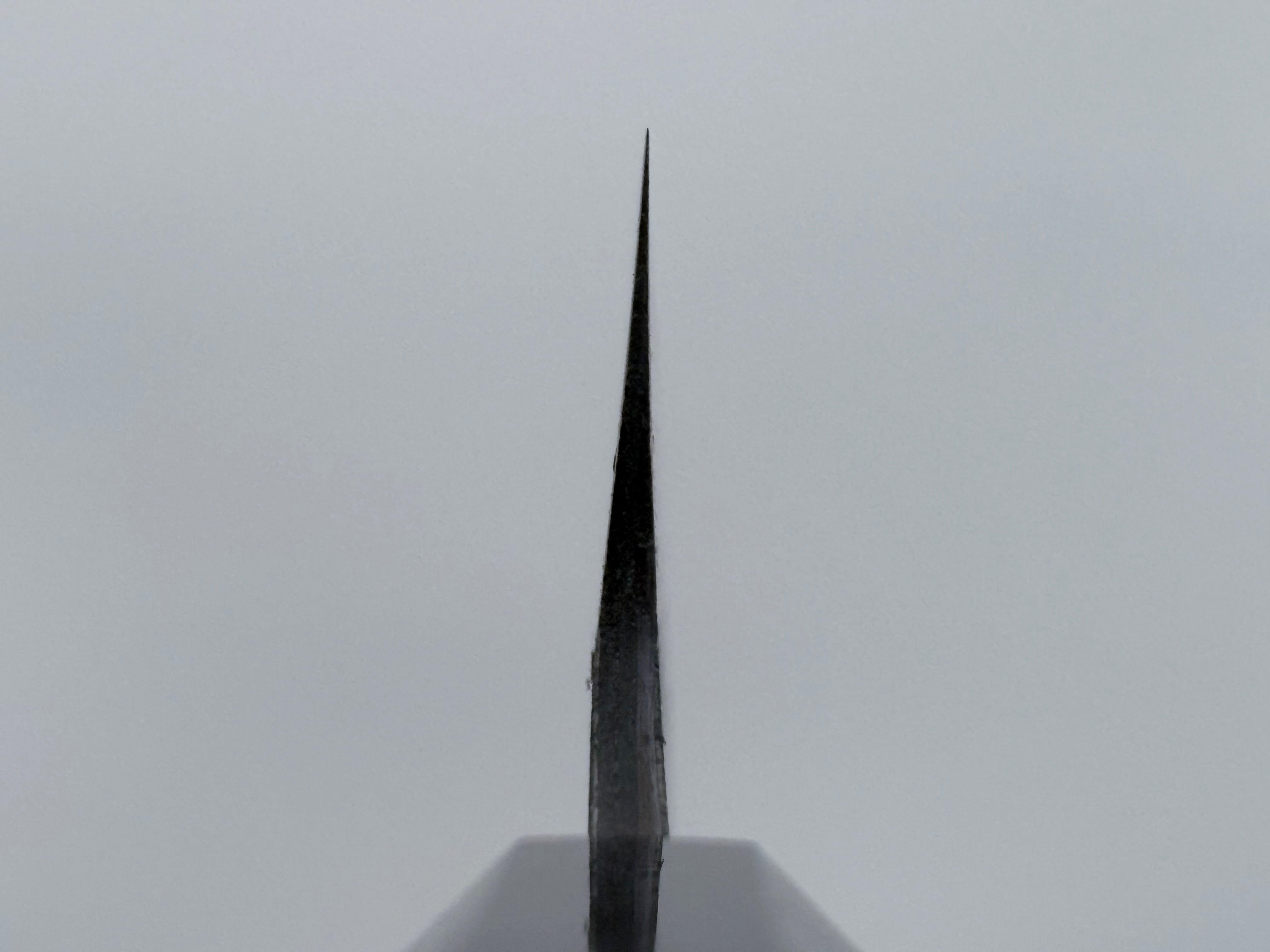 Hatsukokoro Yorokobi Gyuto 240mm