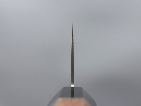 Hatsukokoro Kaijin Blue #2 Gyuto 240mm