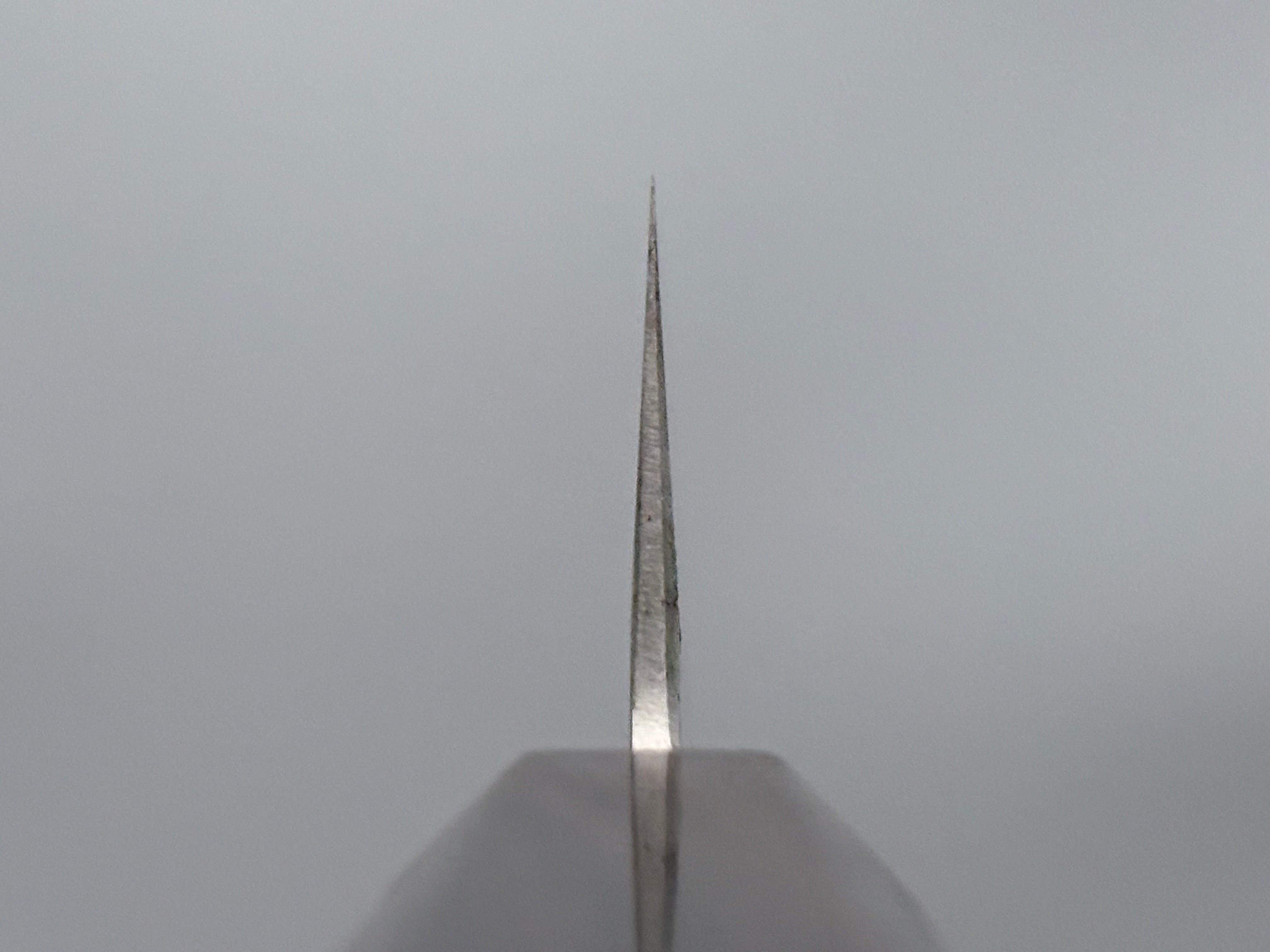 Hatsukokoro Ginrei Ginsan Kiritsuke Gyuto 205mm