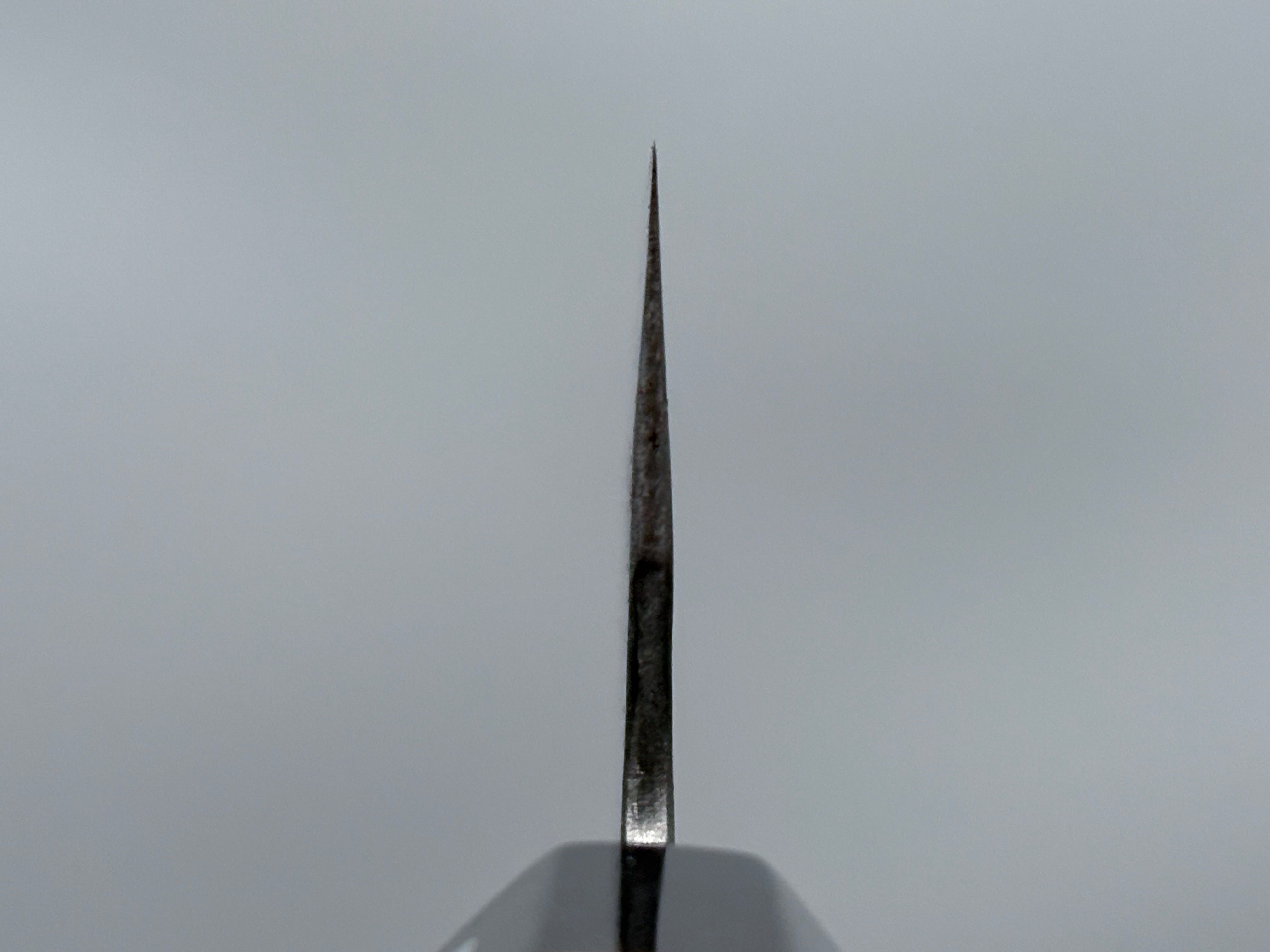 Fujiwara Denka Gyuto 240mm