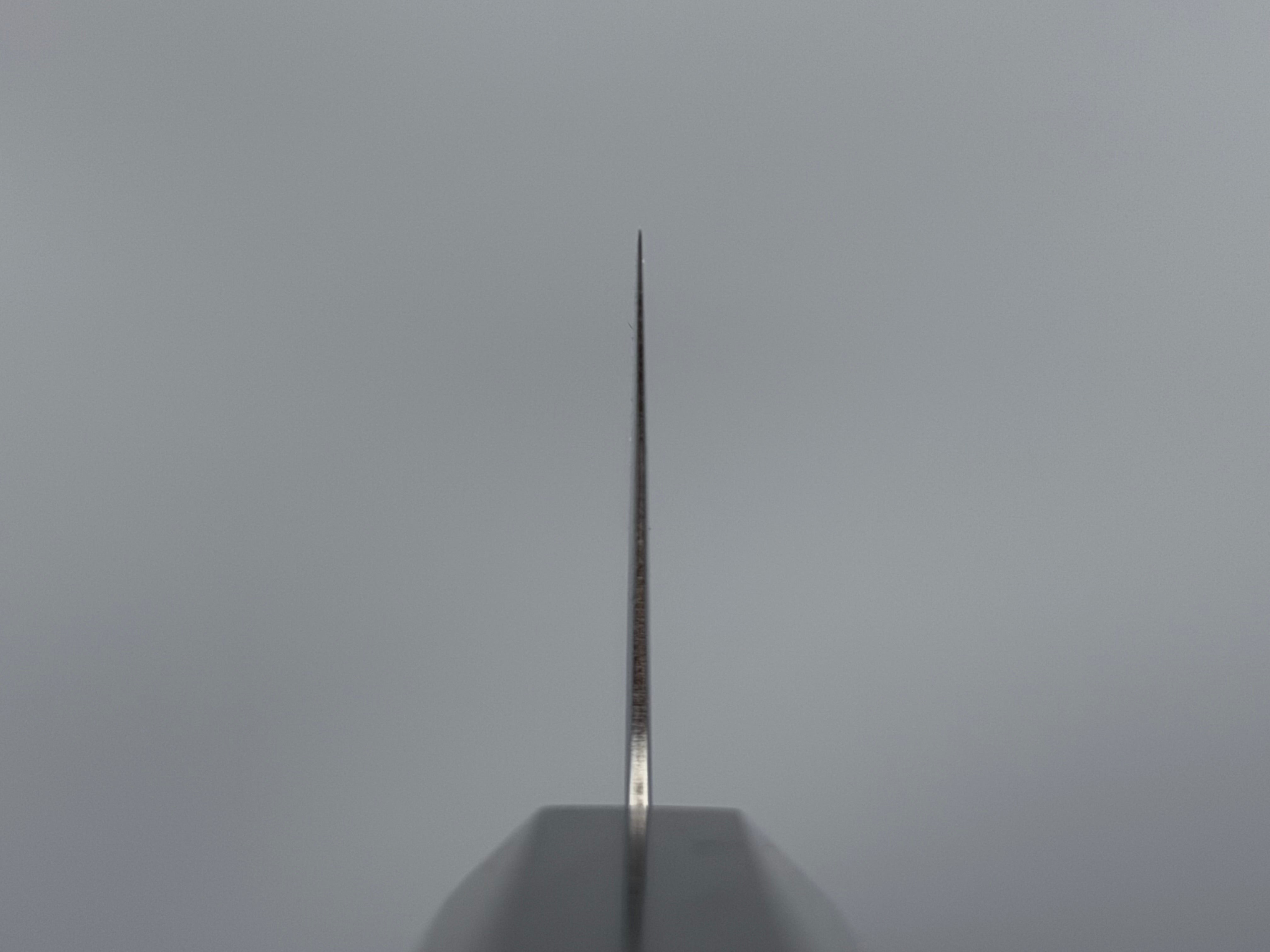 Hatsukokoro Hikari SLD Bunka