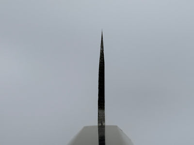 Hatsukokoro Kurogane Blue #2 Gyuto 210mm