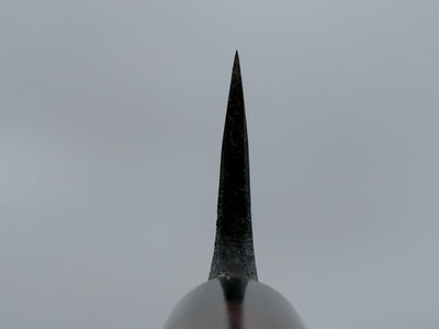 Tsunehisa Aogami Kurouchi Deba 180mm