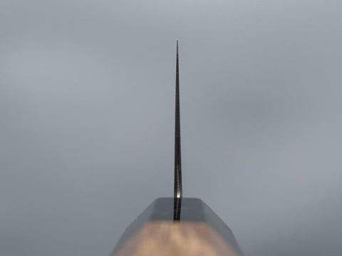 Hatsukokoro Hayabusa SG2 Gyuto 240mm