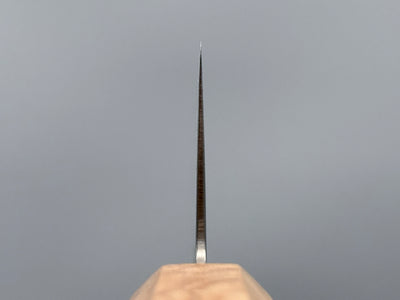 Hatsukokoro Ryuhyo SG2 Mirror Damascus Gyuto 210mm