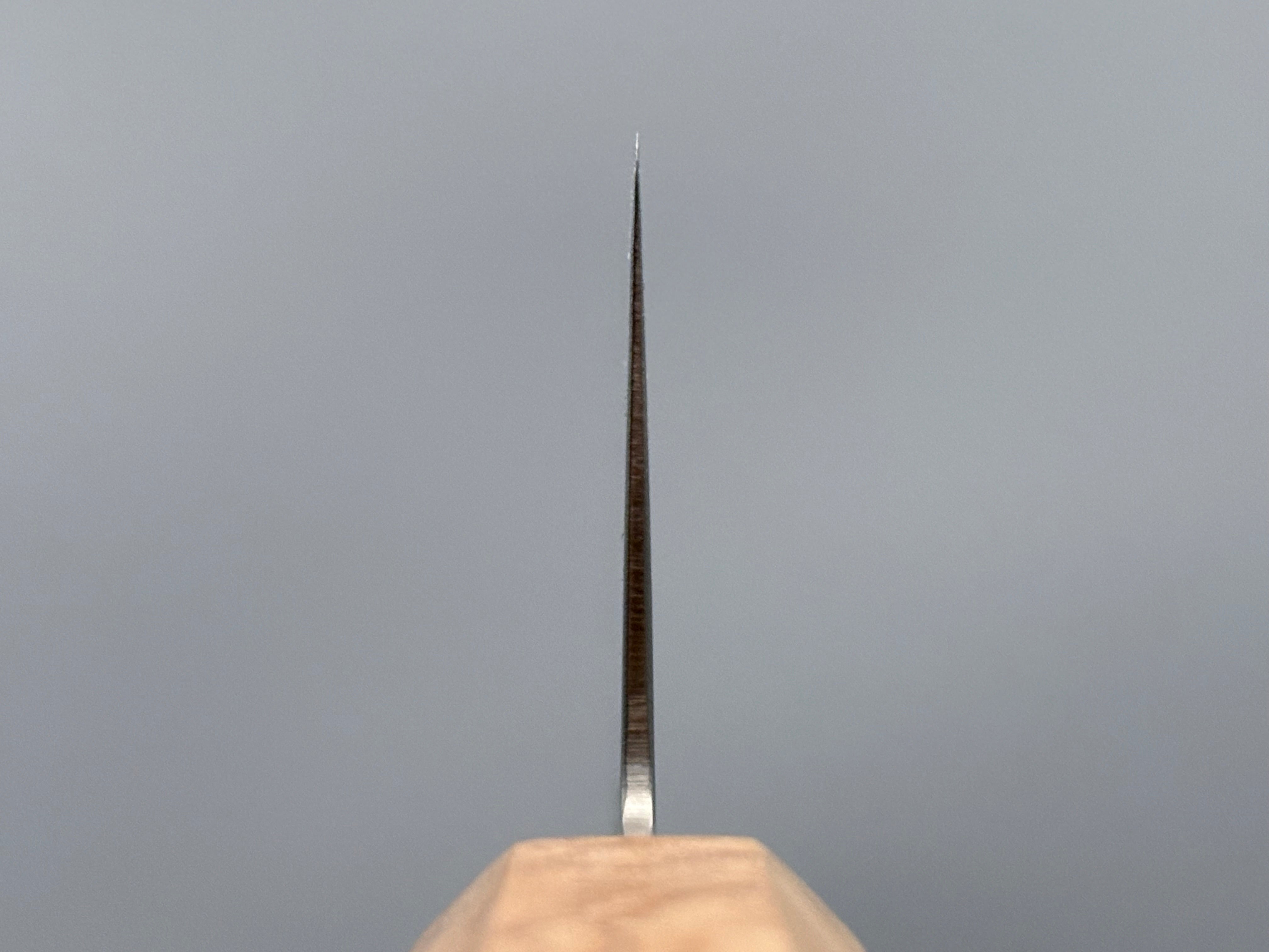 Hatsukokoro Ryuhyo SG2 Mirror Damascus Gyuto 210mm