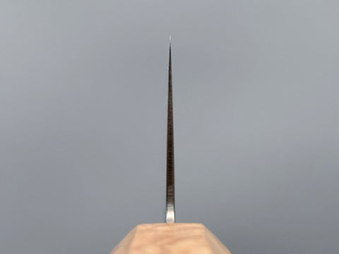 Hatsukokoro Ryuhyo SG2 Mirror Damascus Gyuto 210mm