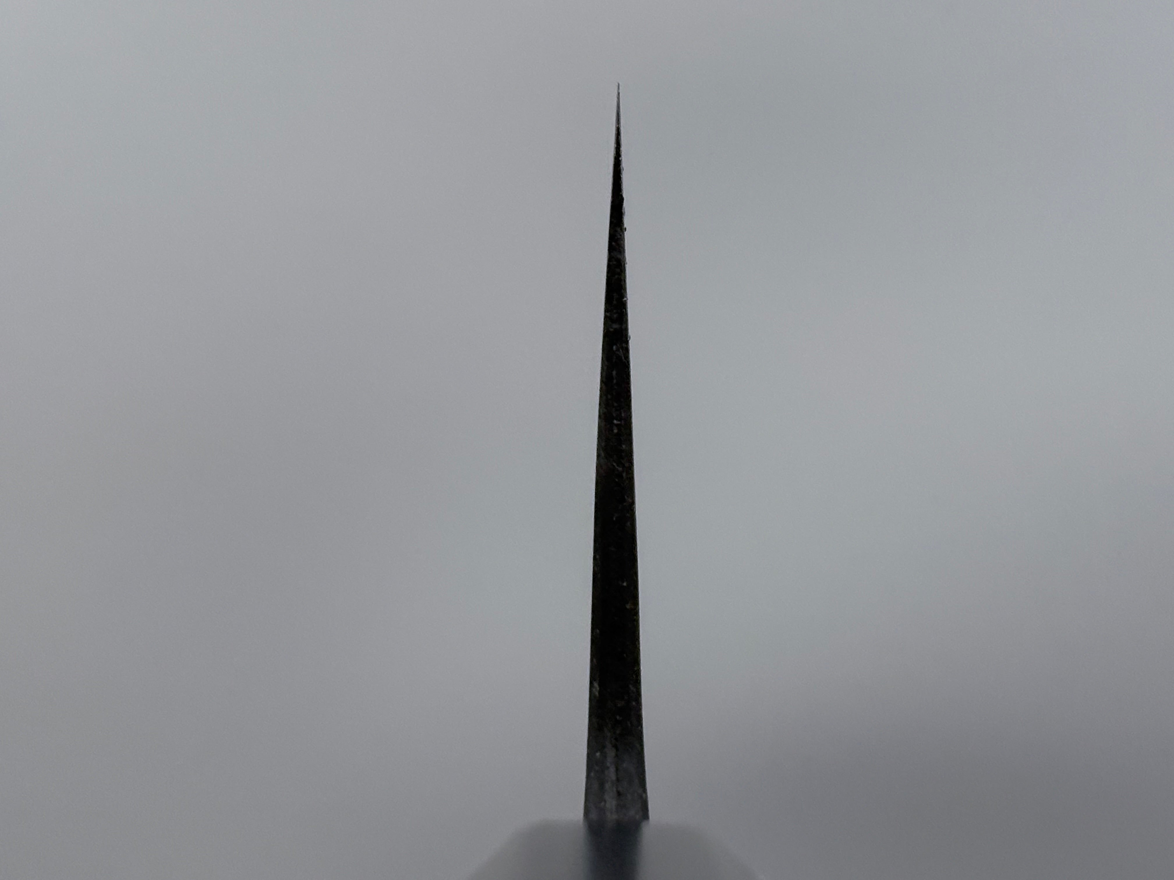 Nakamura Hamono Kaishin Blue #2 Kurouchi Nakiri