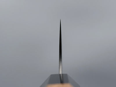 Nigara Hamono SG2 Damascus Gyuto 240mm
