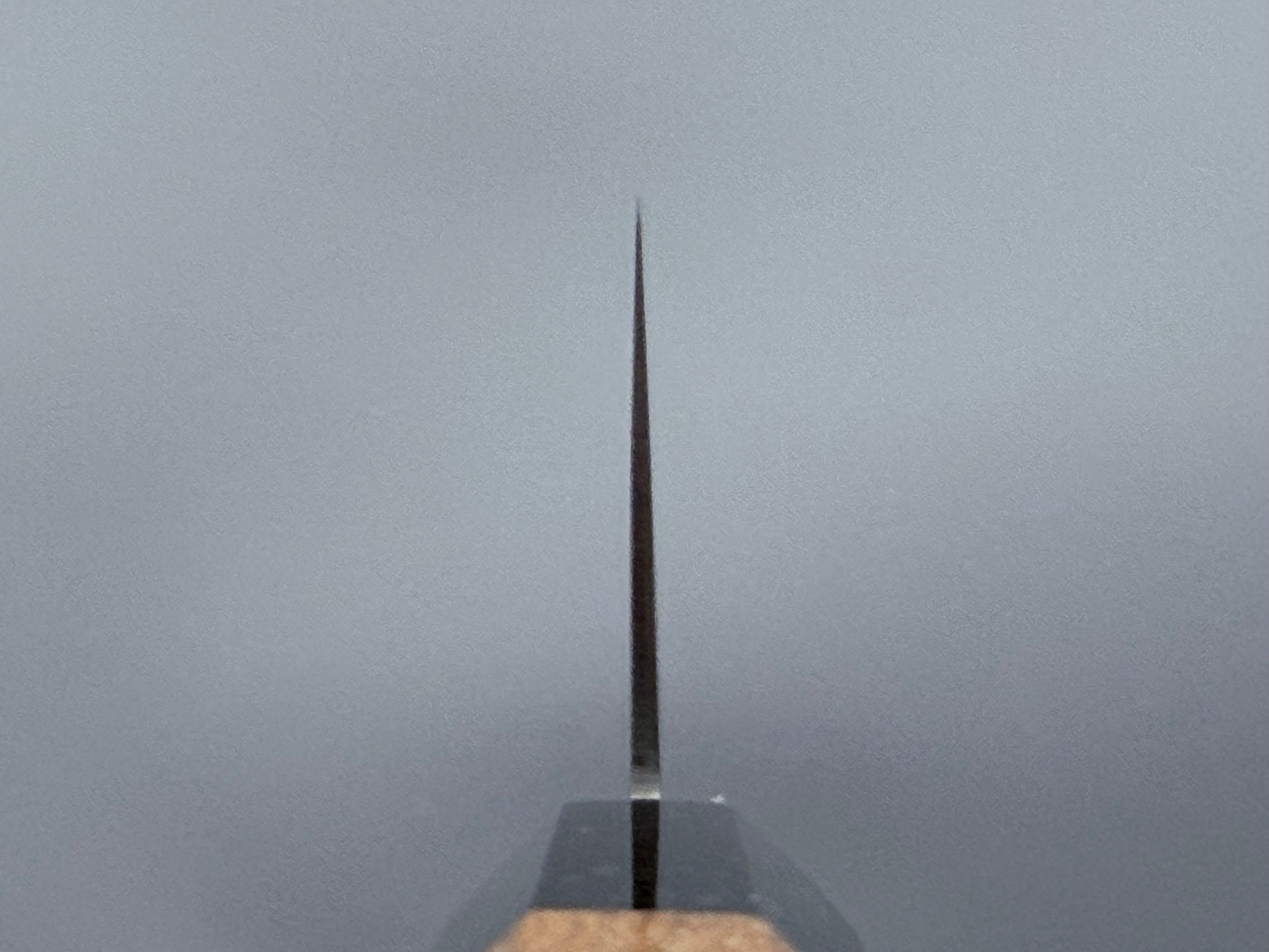 Hatsukokoro Kaijin Blue #2 Kiritsuke Gyuto 240mm