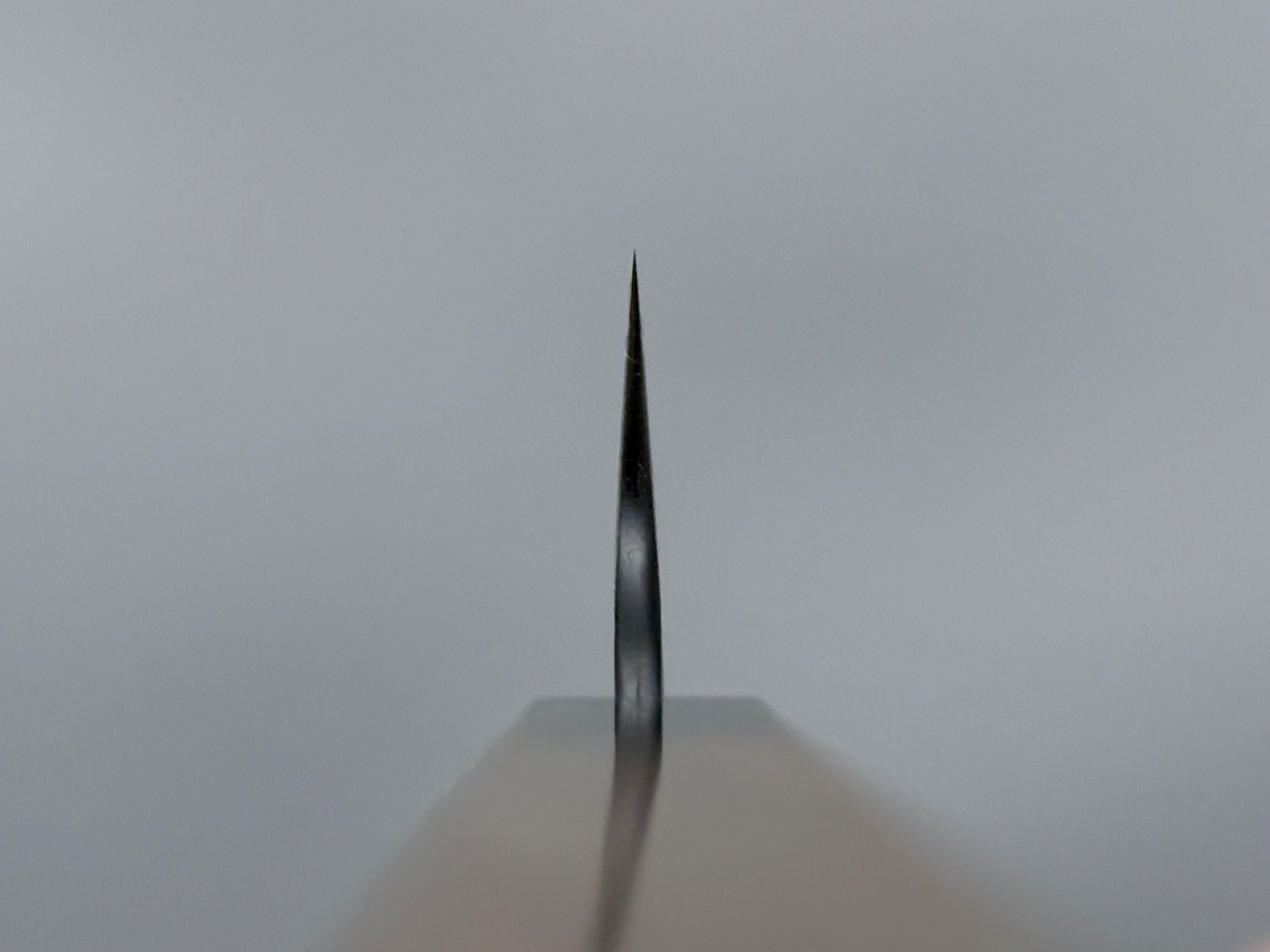 Nigara Hamono SG2 Kurouchi Tsuchime Kiritsuke Sujihiki 255mm