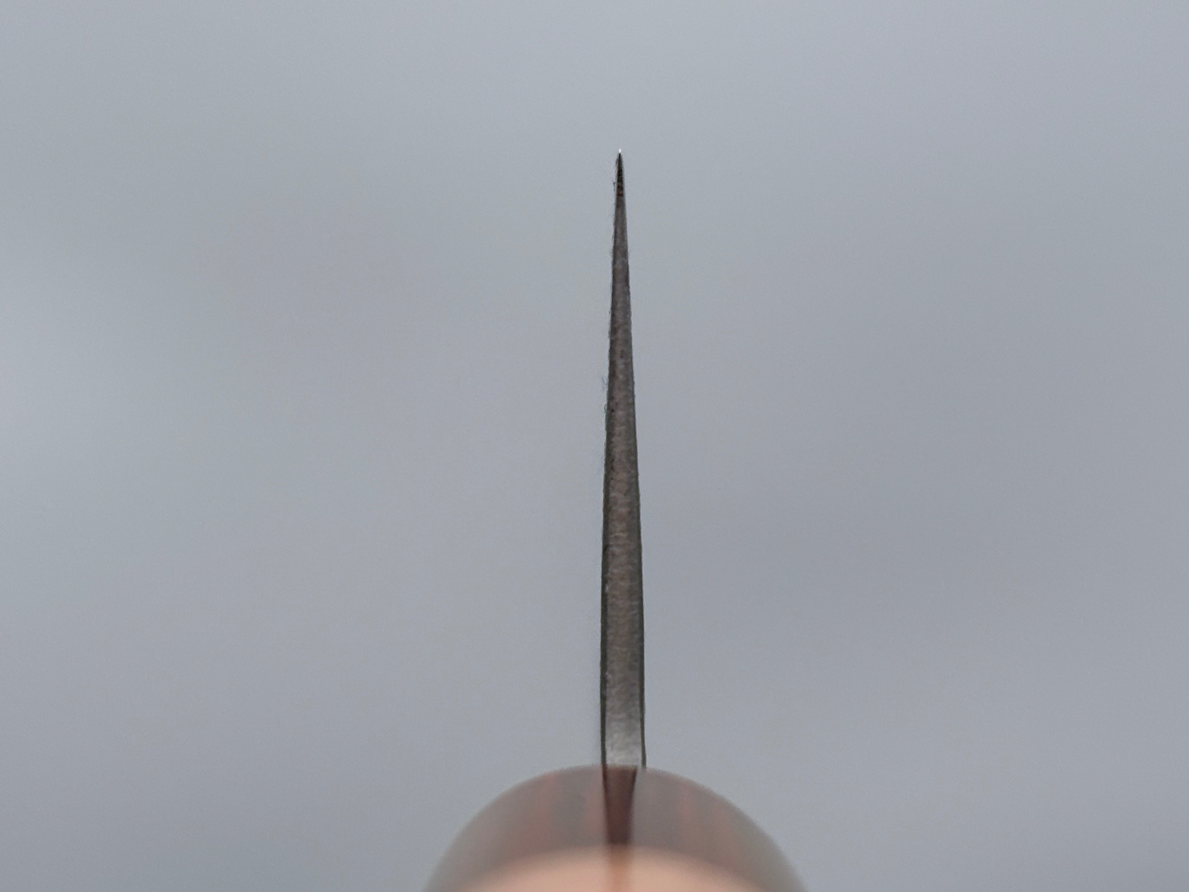 Tsunehisa AS Kiritsuke Gyuto 210mm