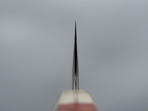 Hatsukokoro Irodori Blue #2 Rainbow Damascus Gyuto 210mm - South Vietnamese Rosewood