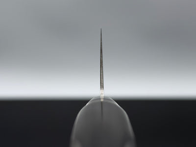 Sakai Takayuki Mirror 45 layer Gyuto 210mm